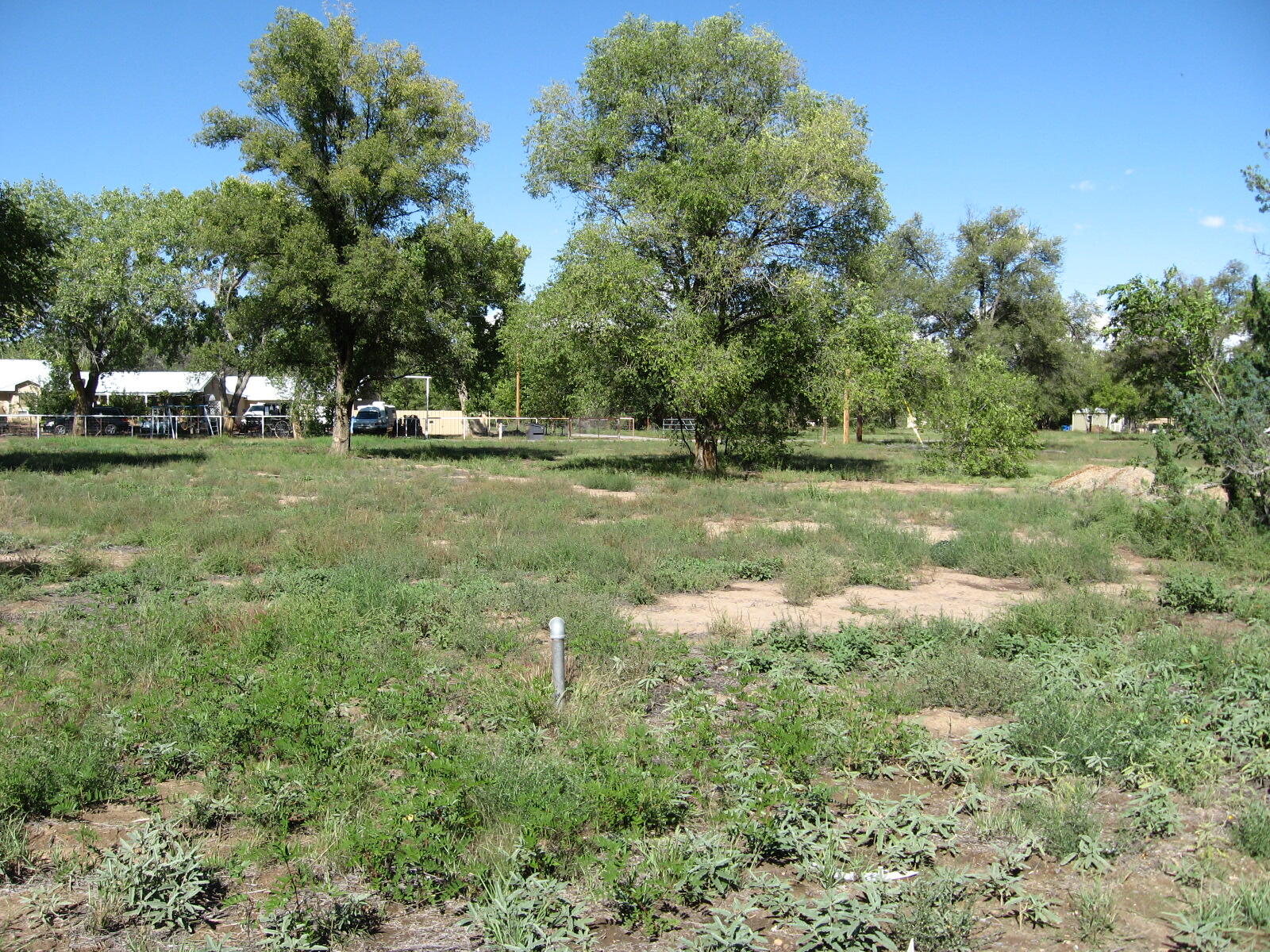 0 Forgotten Promise Tr4 Lane