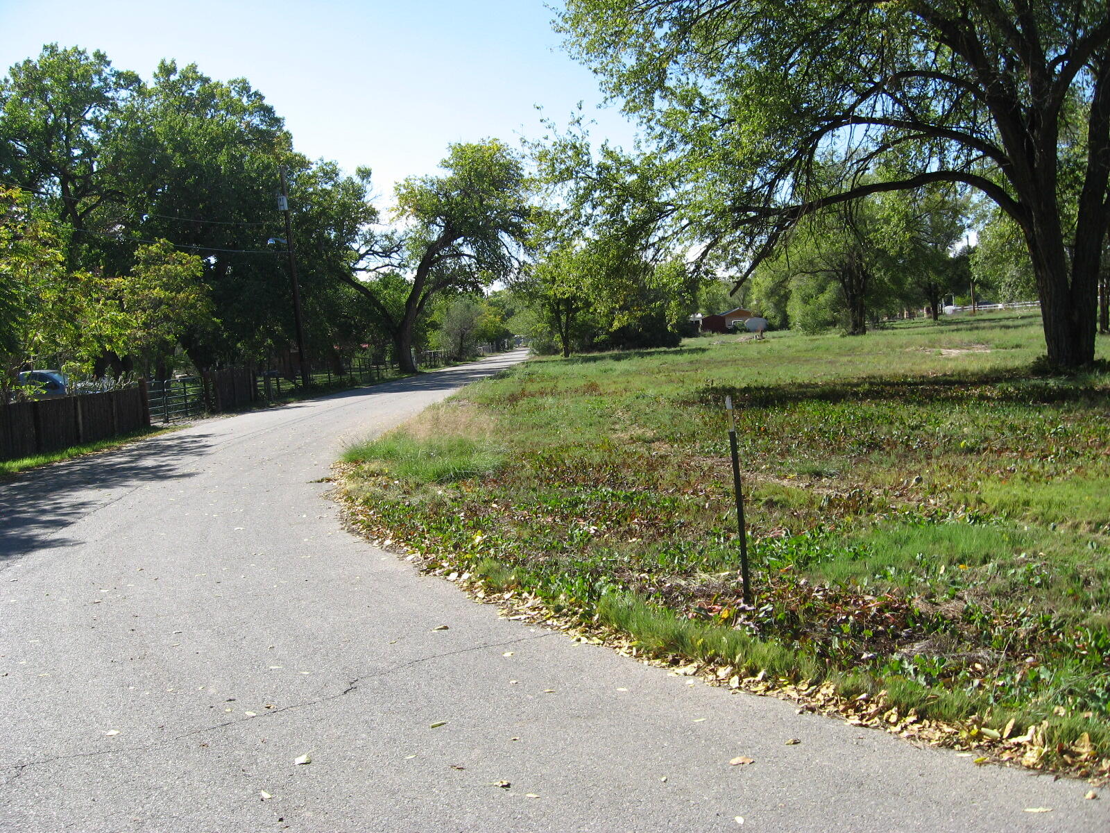 0 Forgotten Promise Tr4 Lane