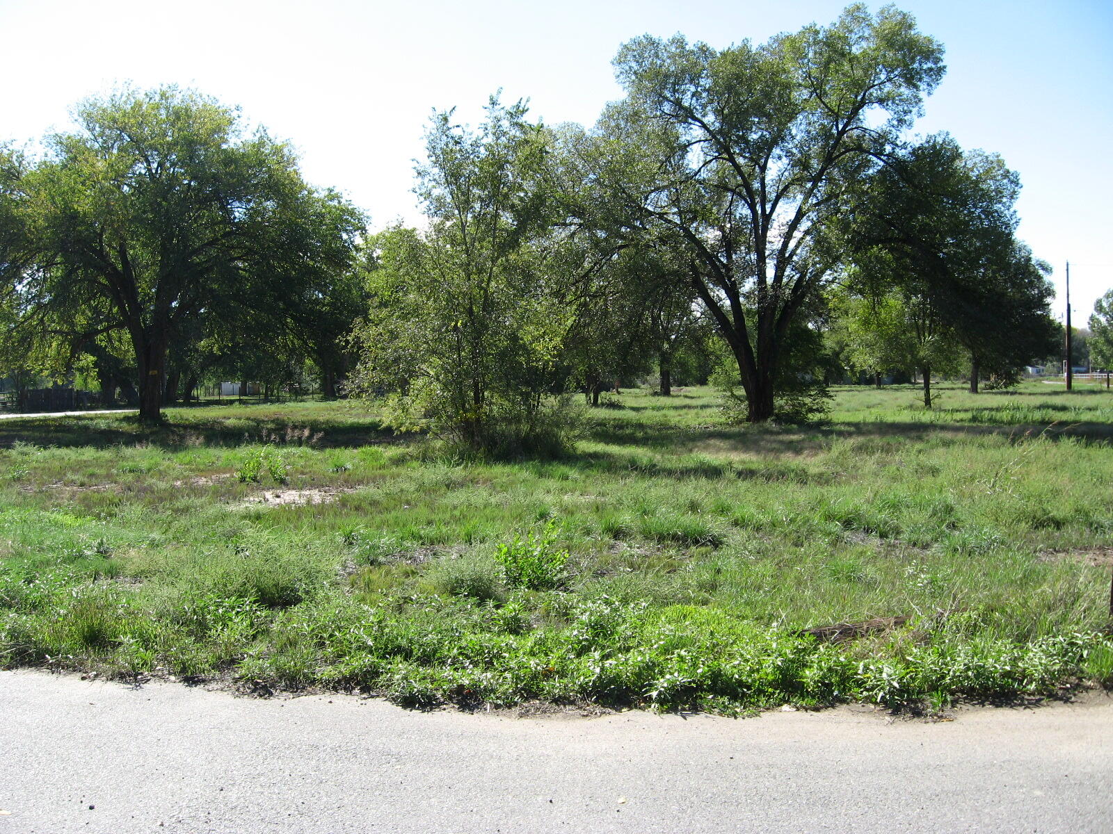 0 Forgotten Promise Tr4 Lane