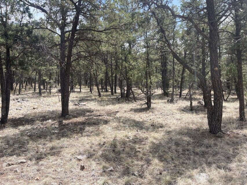 Lot 30 Hop Canyon Road
