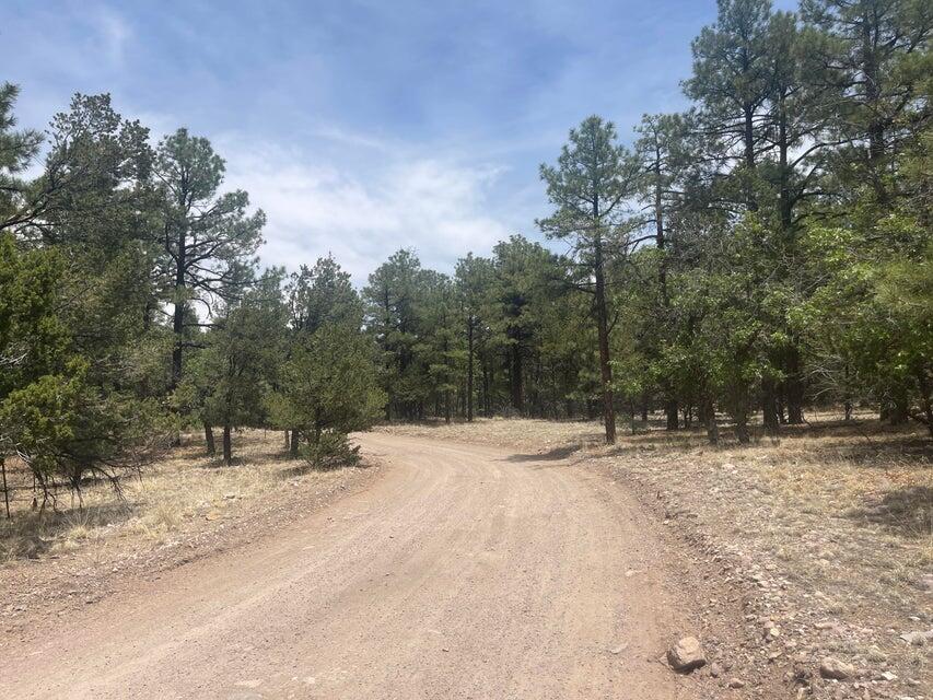 Lot 30 Hop Canyon Road