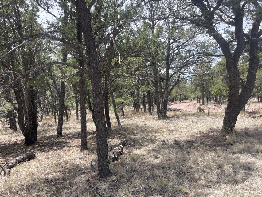 Lot 30 Hop Canyon Road