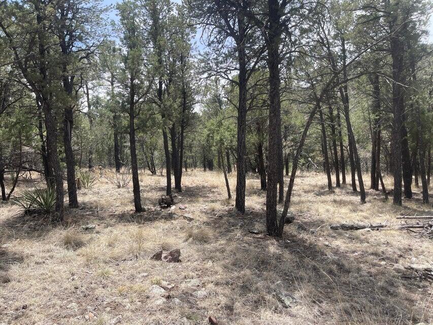 Lot 30 Hop Canyon Road