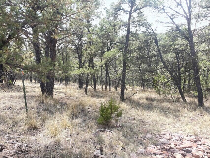 Lot 30 Hop Canyon Road