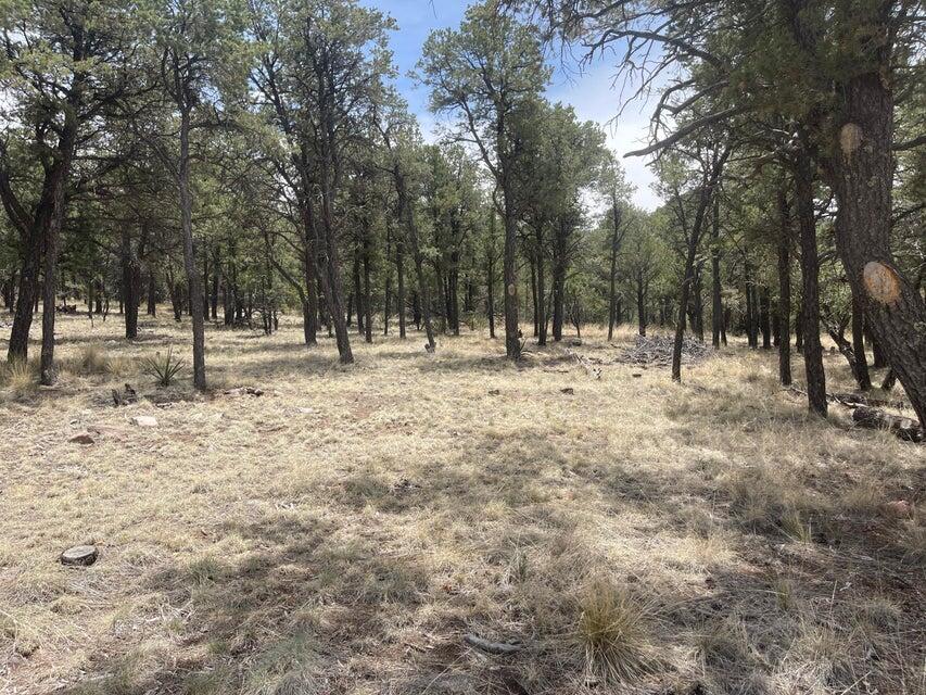 Lot 30 Hop Canyon Road