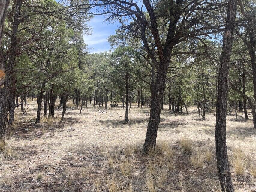 Lot 30 Hop Canyon Road