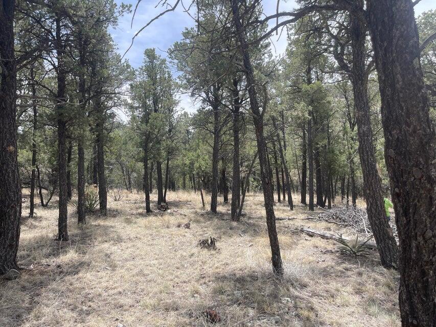 Lot 30 Hop Canyon Road
