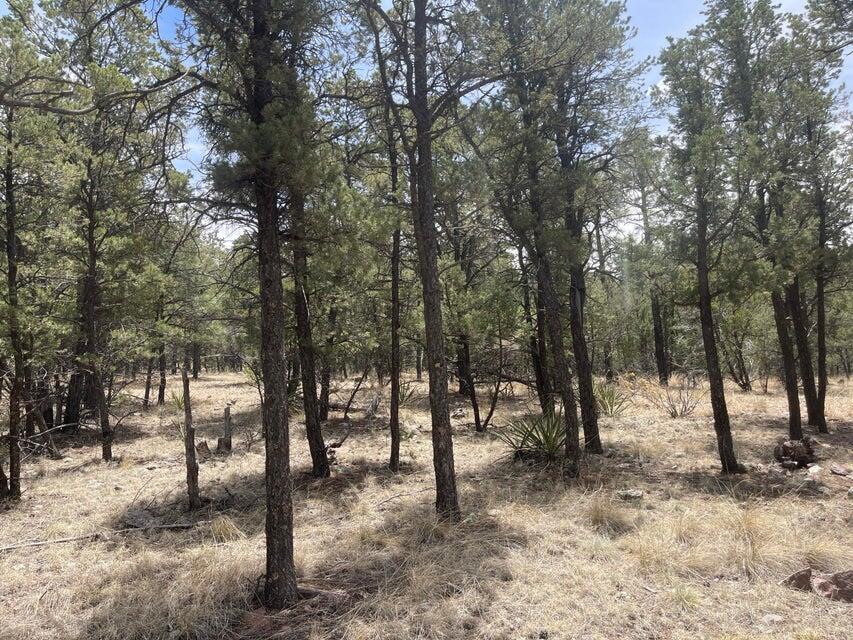 Lot 30 Hop Canyon Road