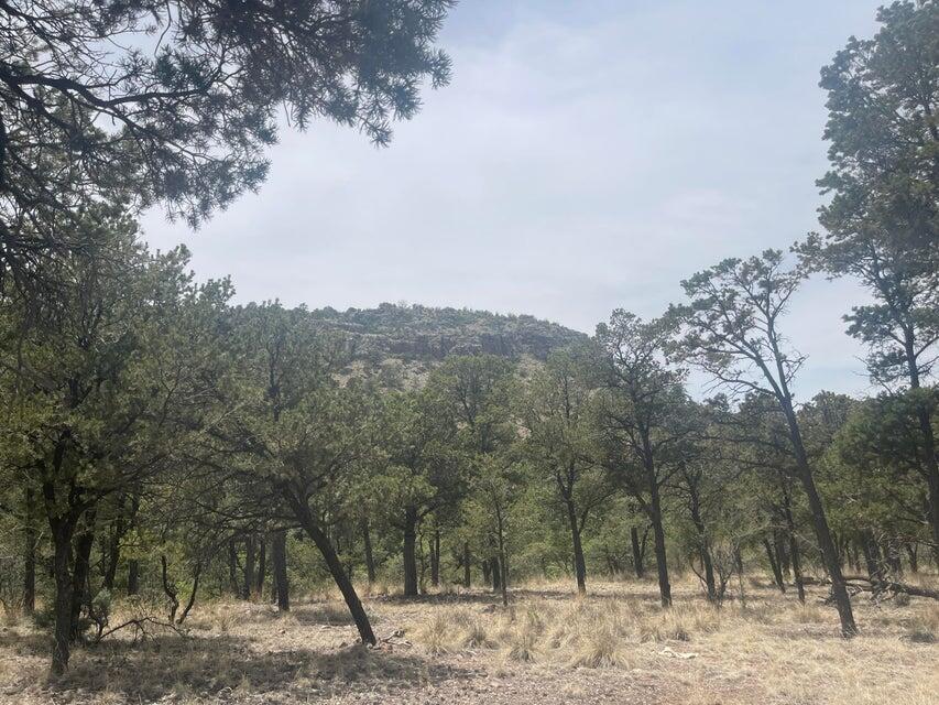 Lot 30 Hop Canyon Road