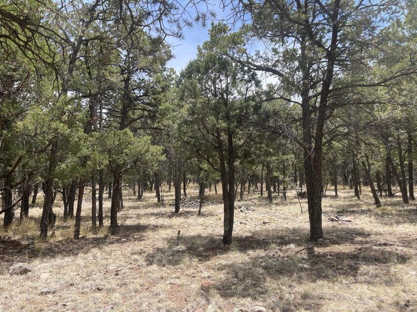 Lot 30 Hop Canyon Road