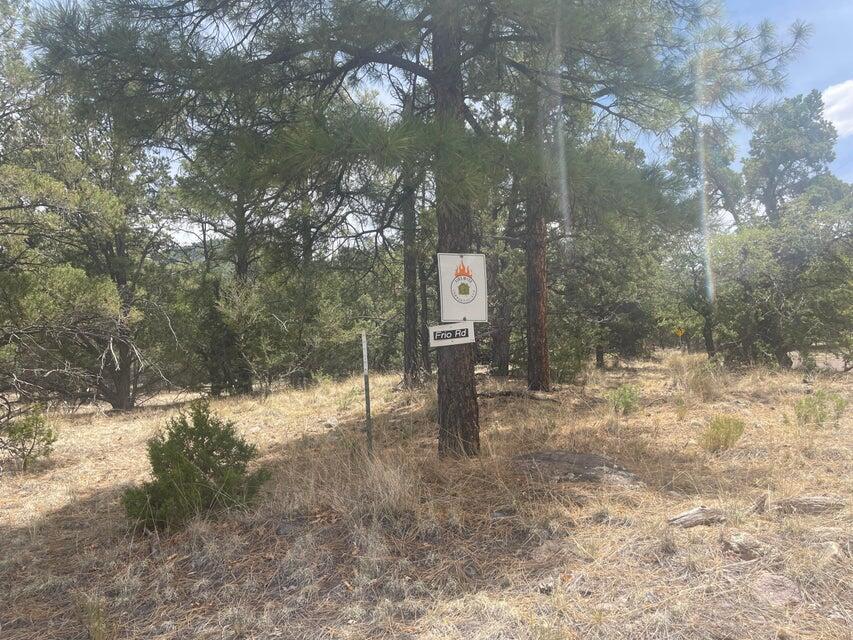 Lot 30 Hop Canyon Road