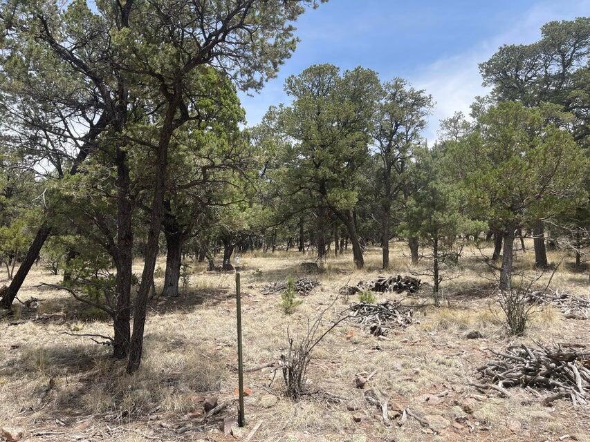 Lot 30 Hop Canyon Road