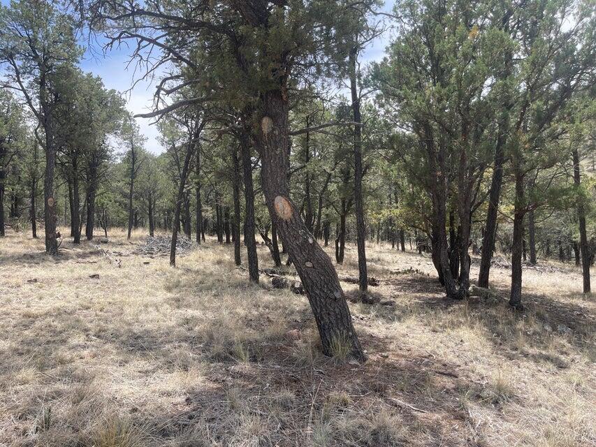 Lot 30 Hop Canyon Road