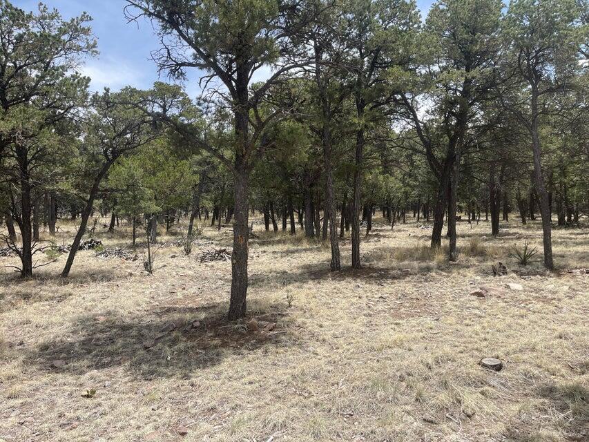 Lot 30 Hop Canyon Road