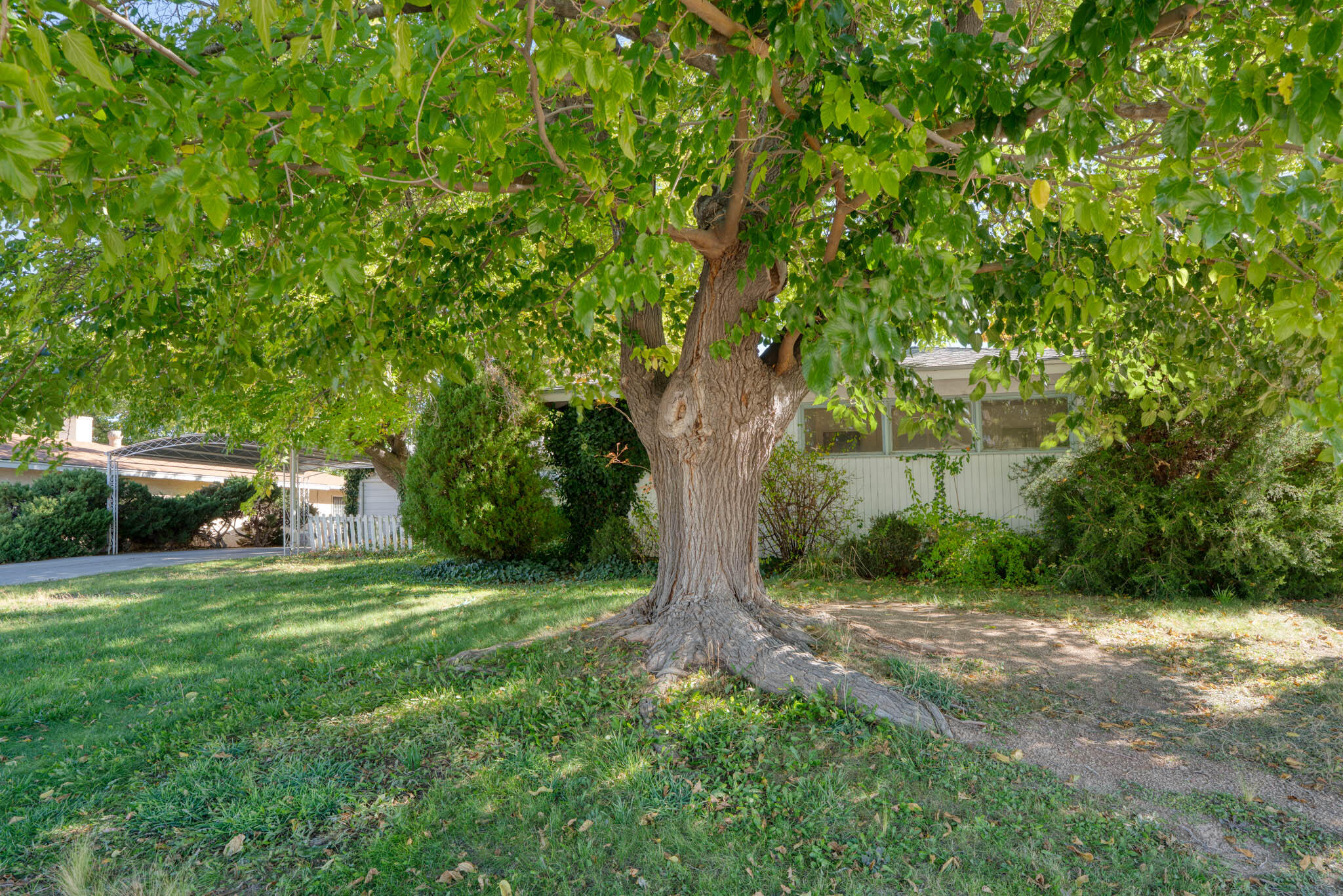 3430 Dakota Street NE