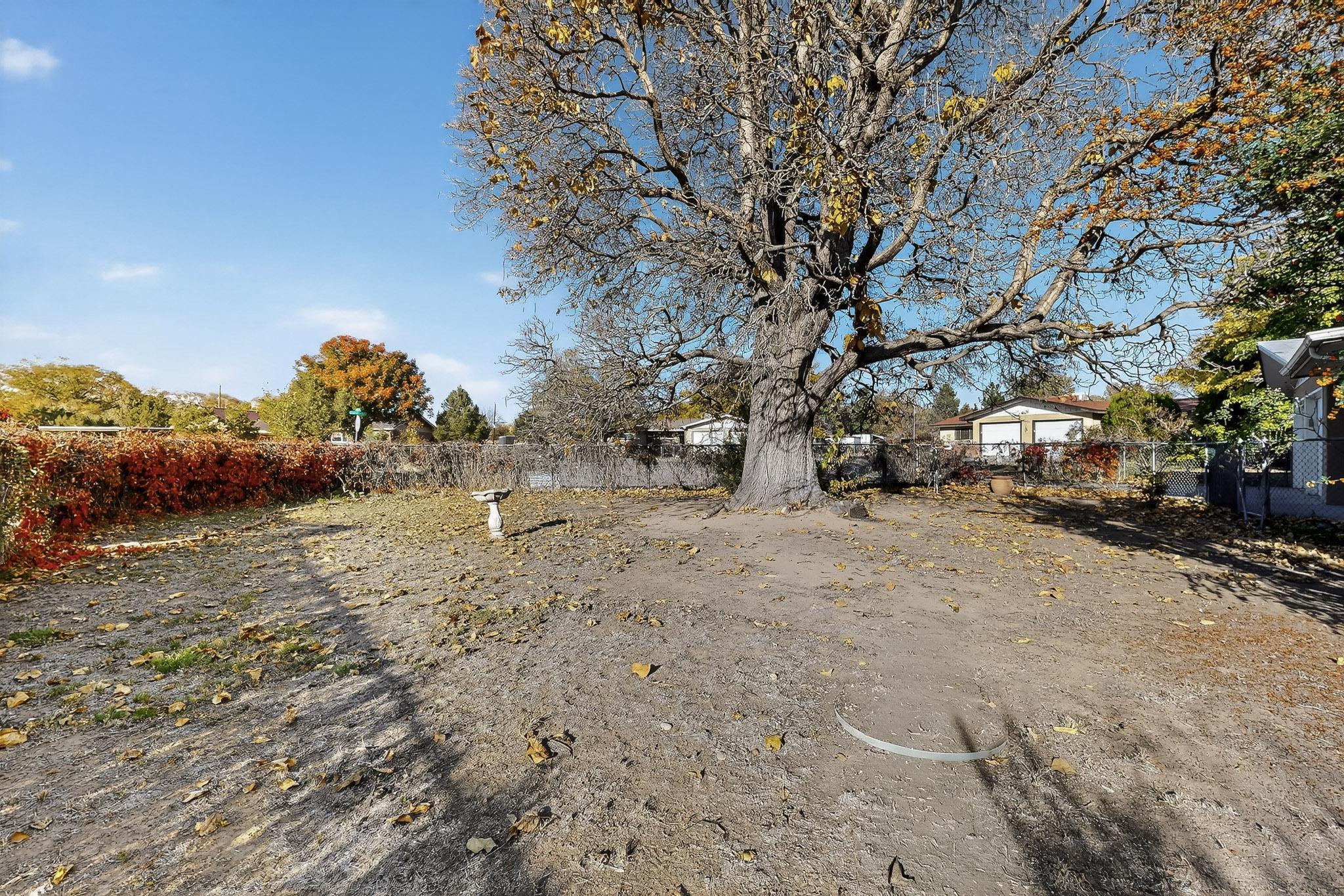 1809 Conita Real Avenue SW