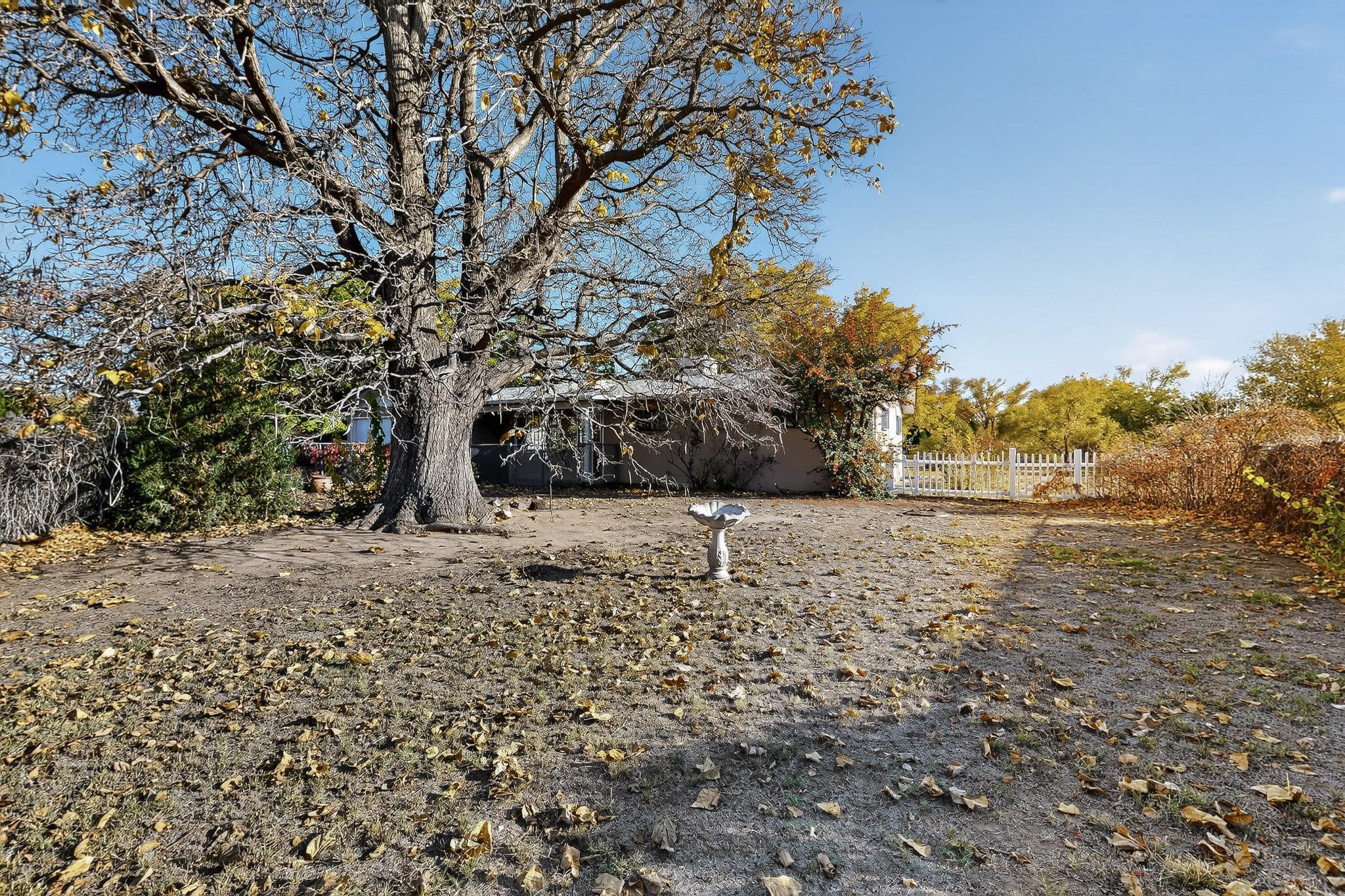 1809 Conita Real Avenue SW