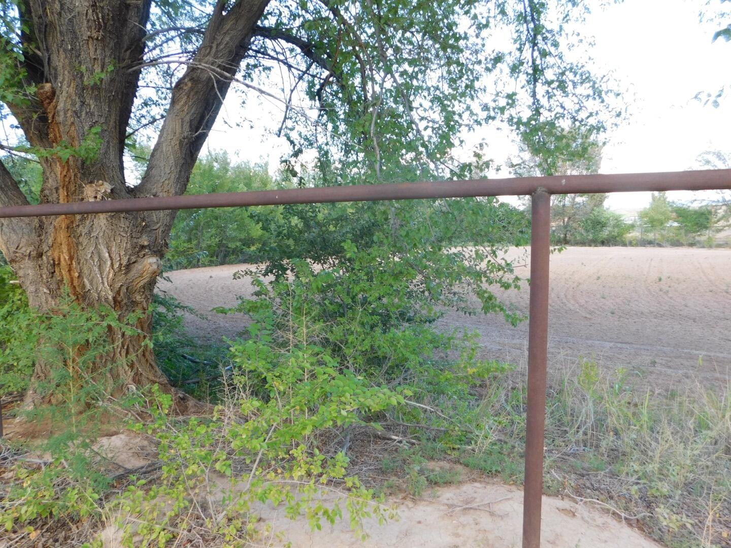 Tract 1C Gurule Map 89