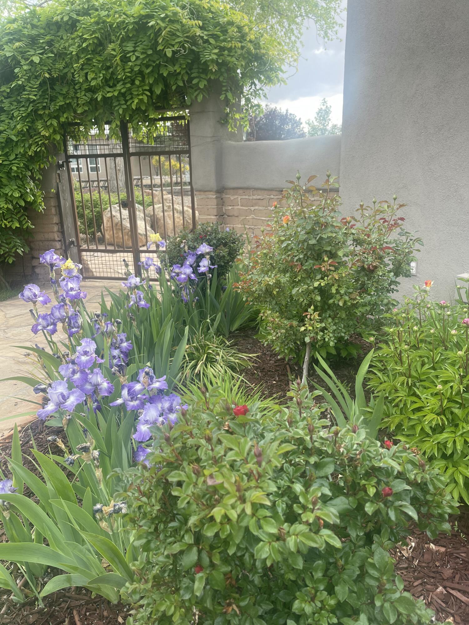 2609 Pajarito Meadows Road SW