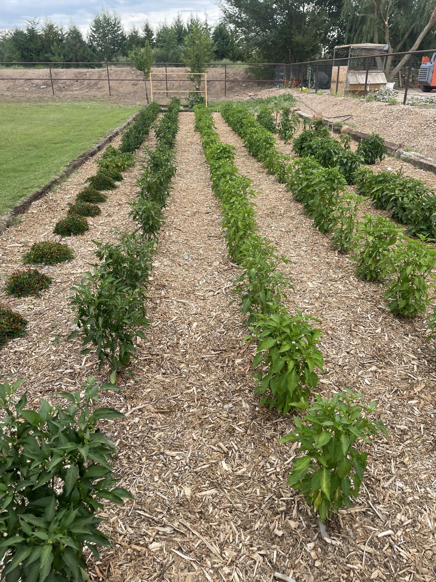 2609 Pajarito Meadows Road SW