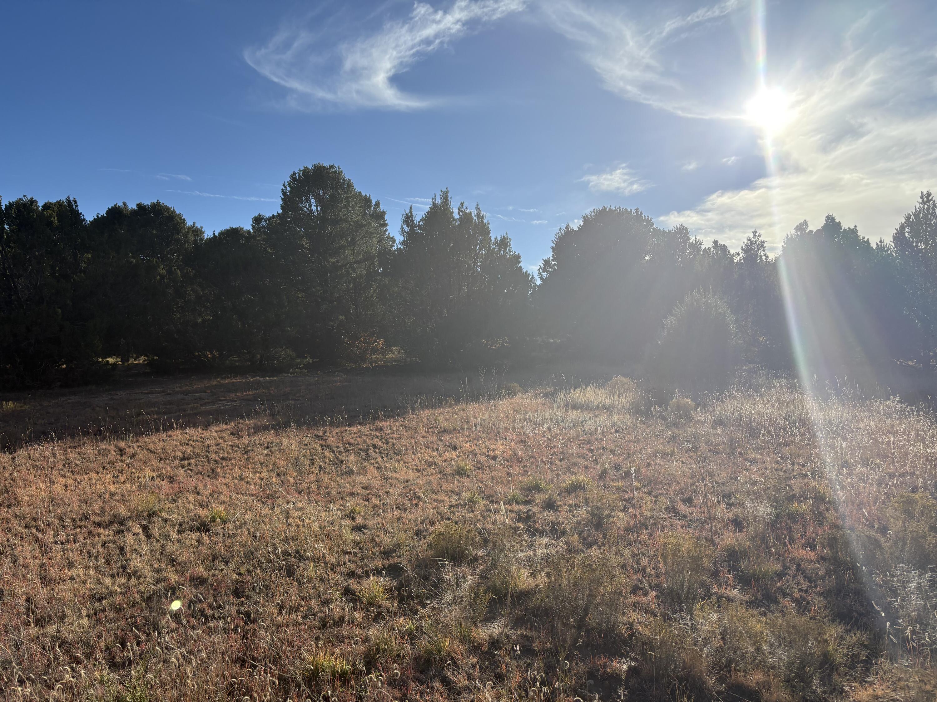139 Holli Loop