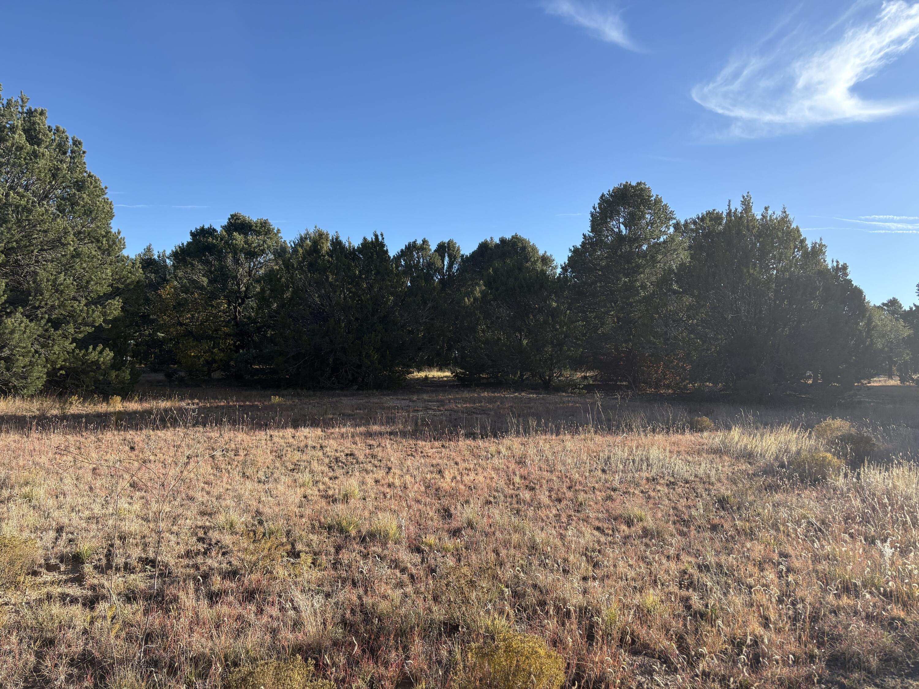 139 Holli Loop