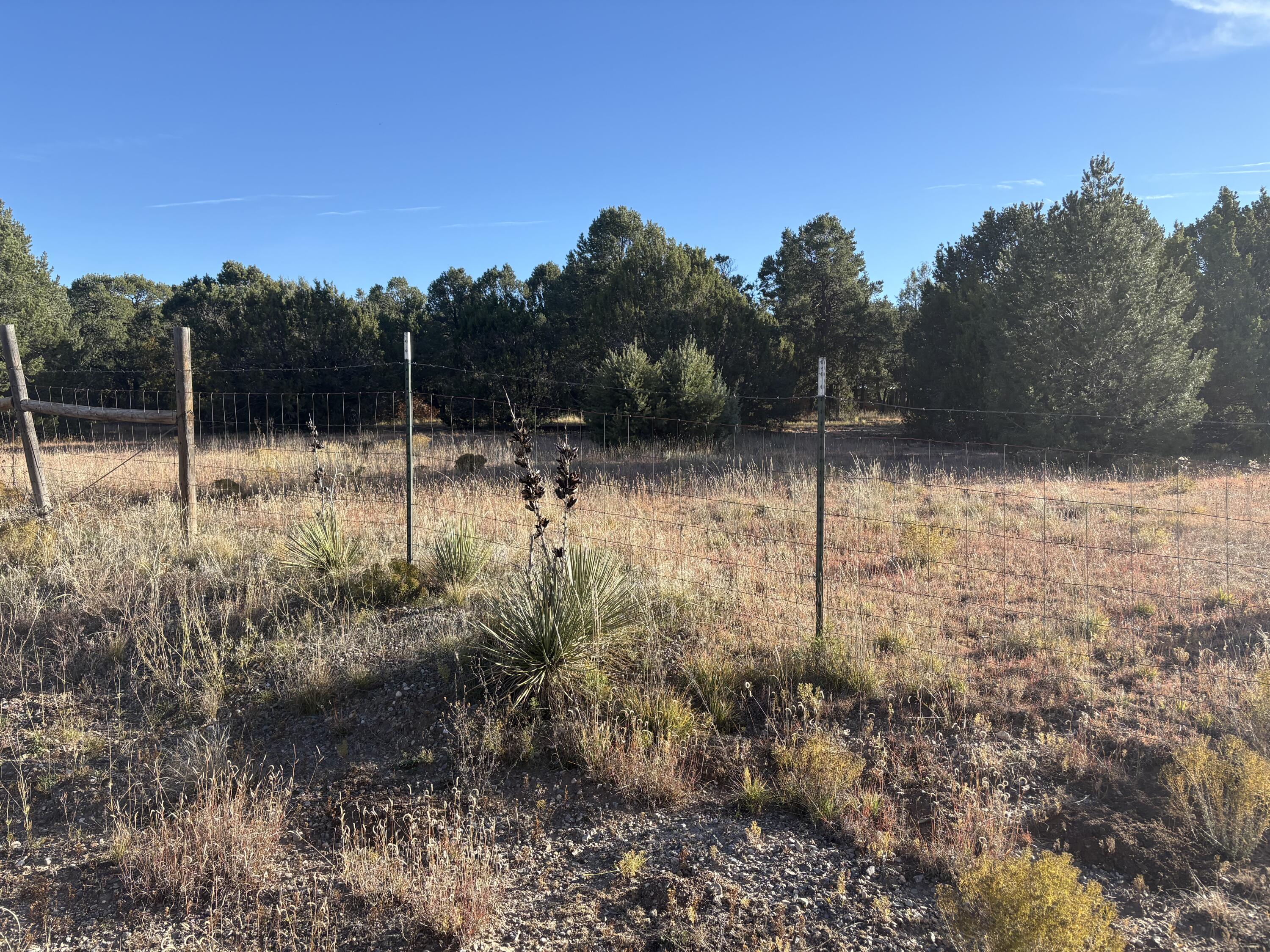 139 Holli Loop