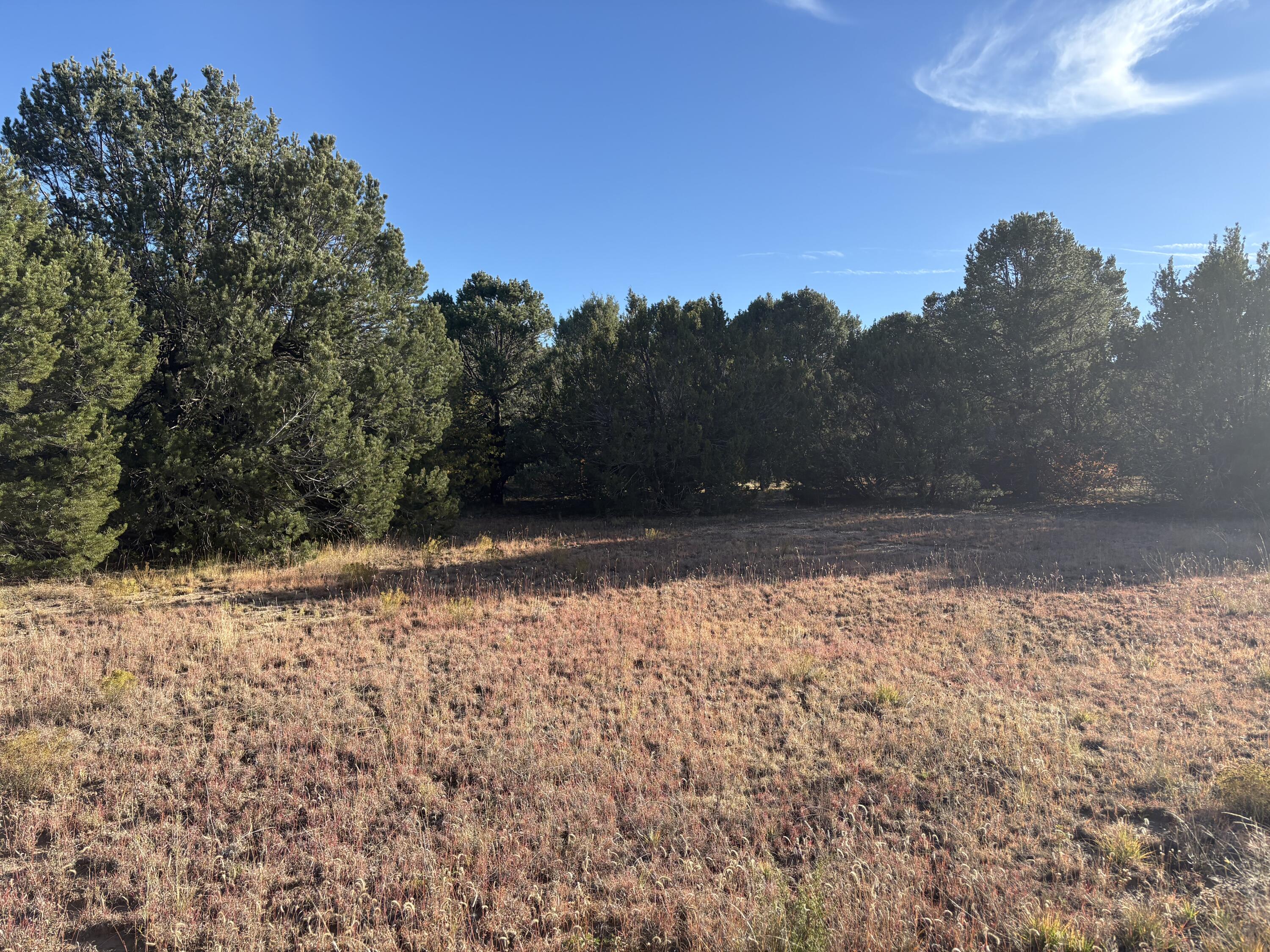 139 Holli Loop