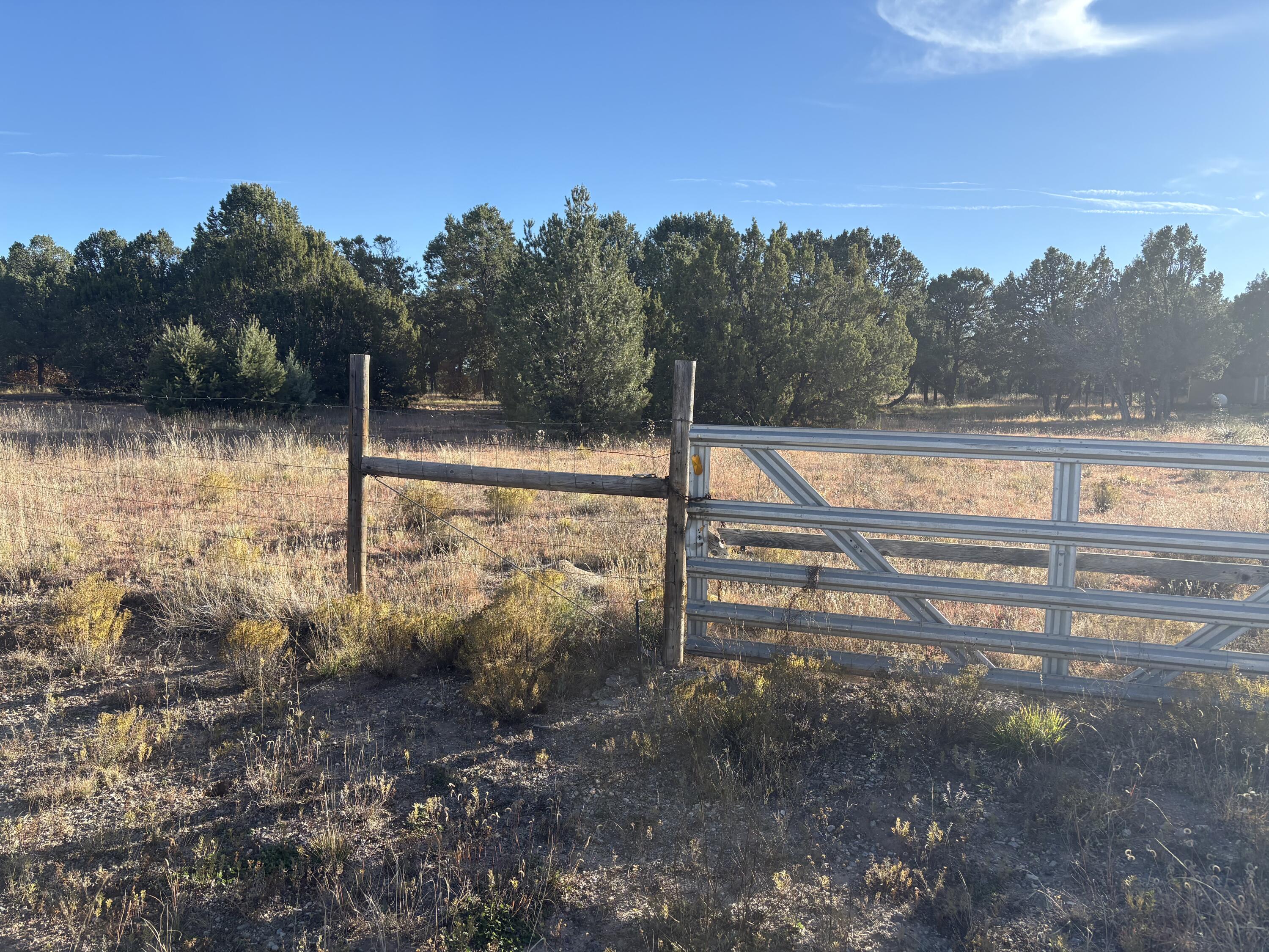 139 Holli Loop