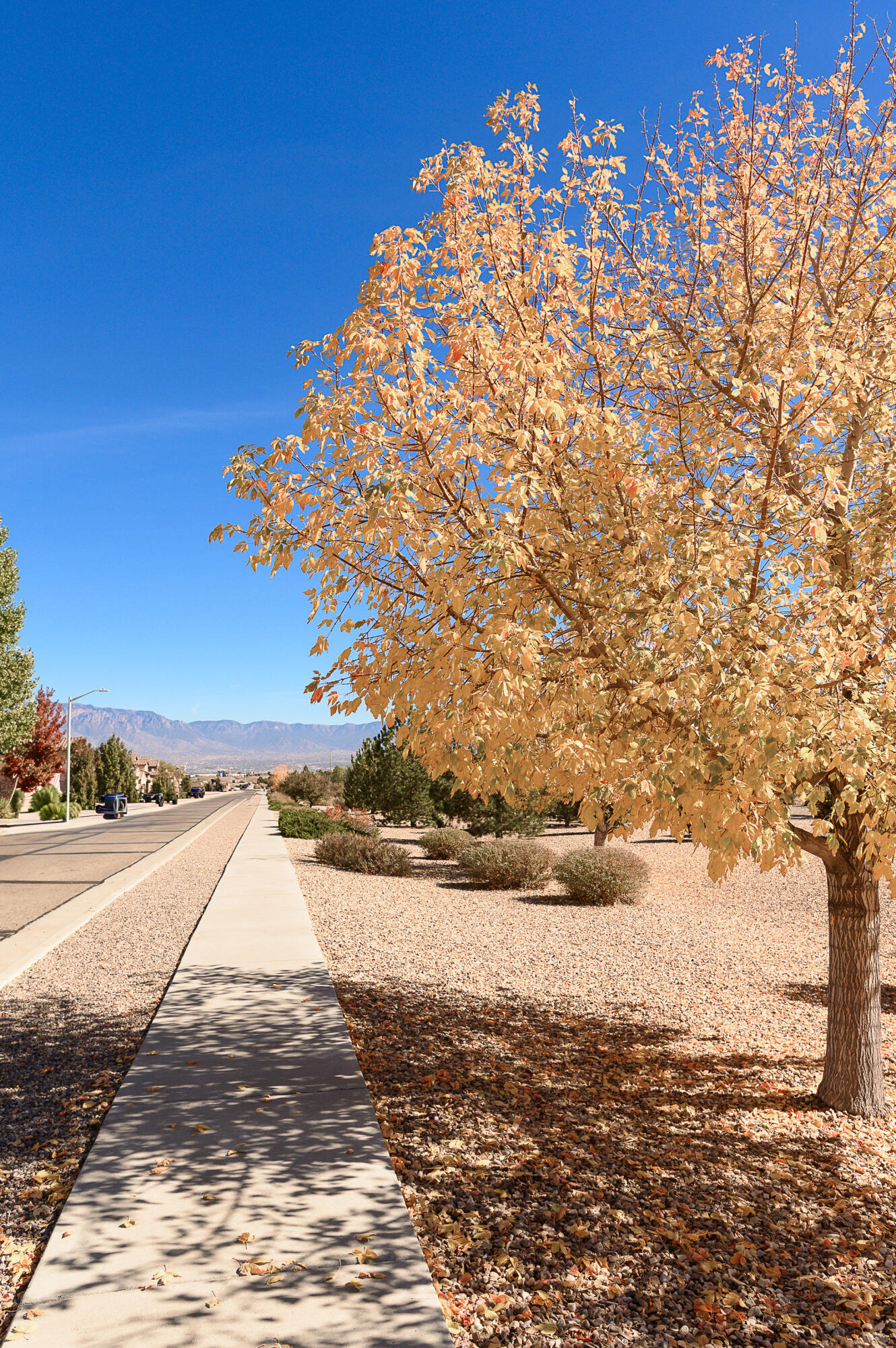 8619 Groundsel Road NW