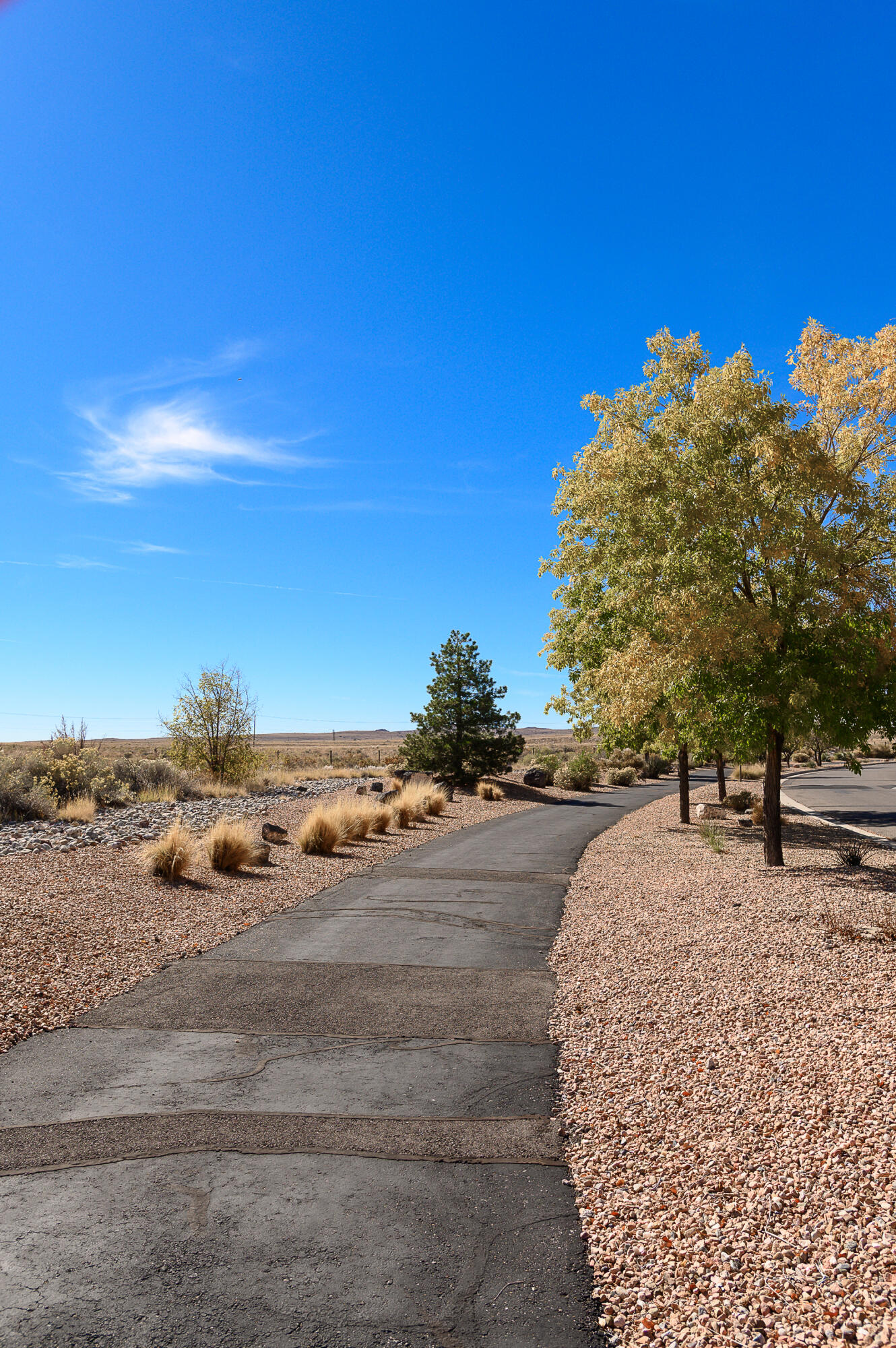 8619 Groundsel Road NW