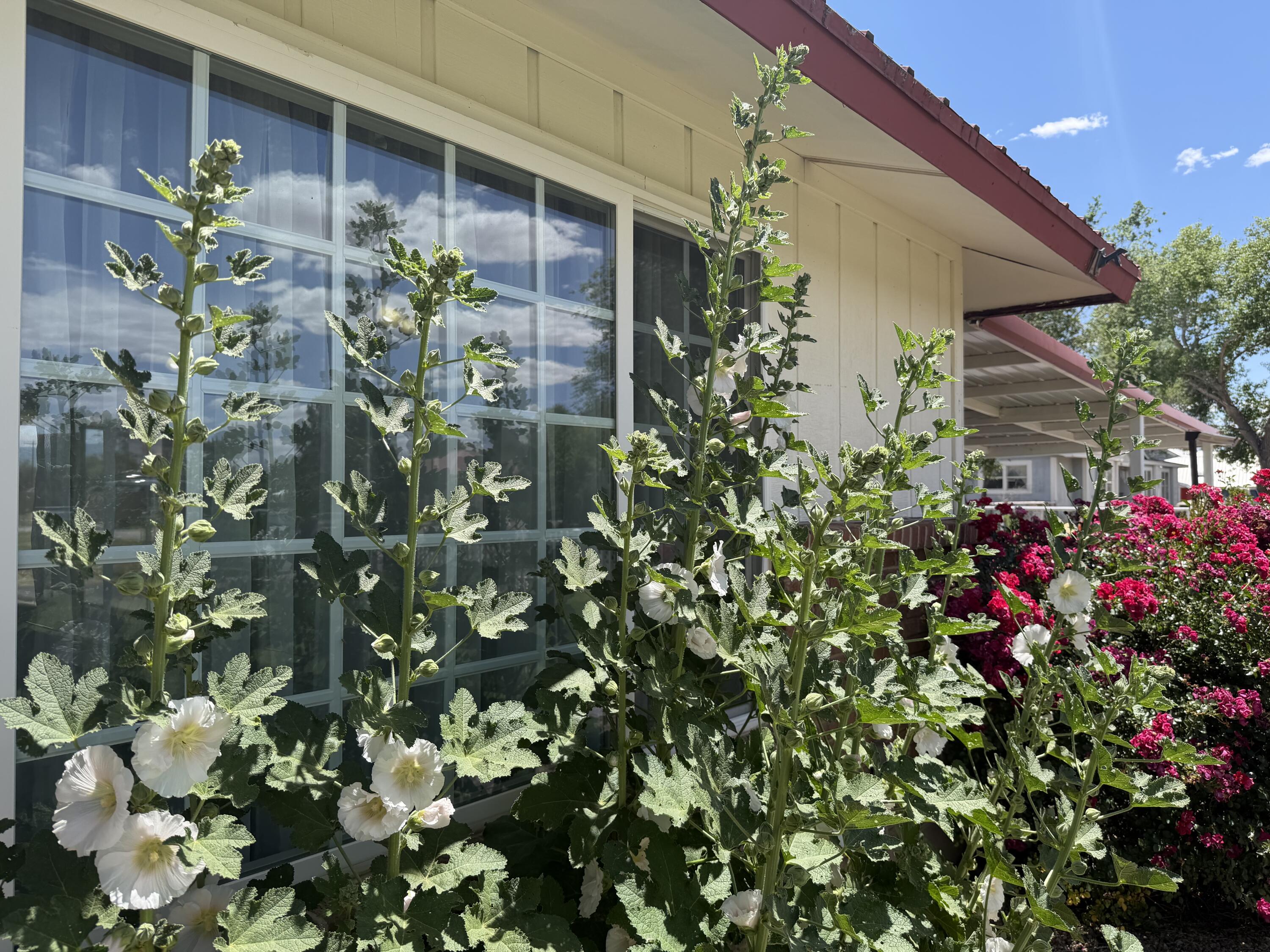 1110 Ranchero Road