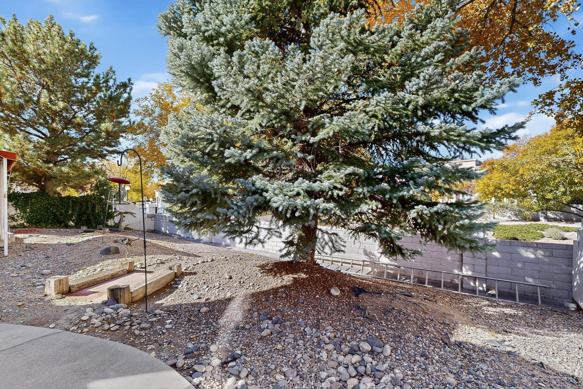 6401 Elk Horn Drive NE