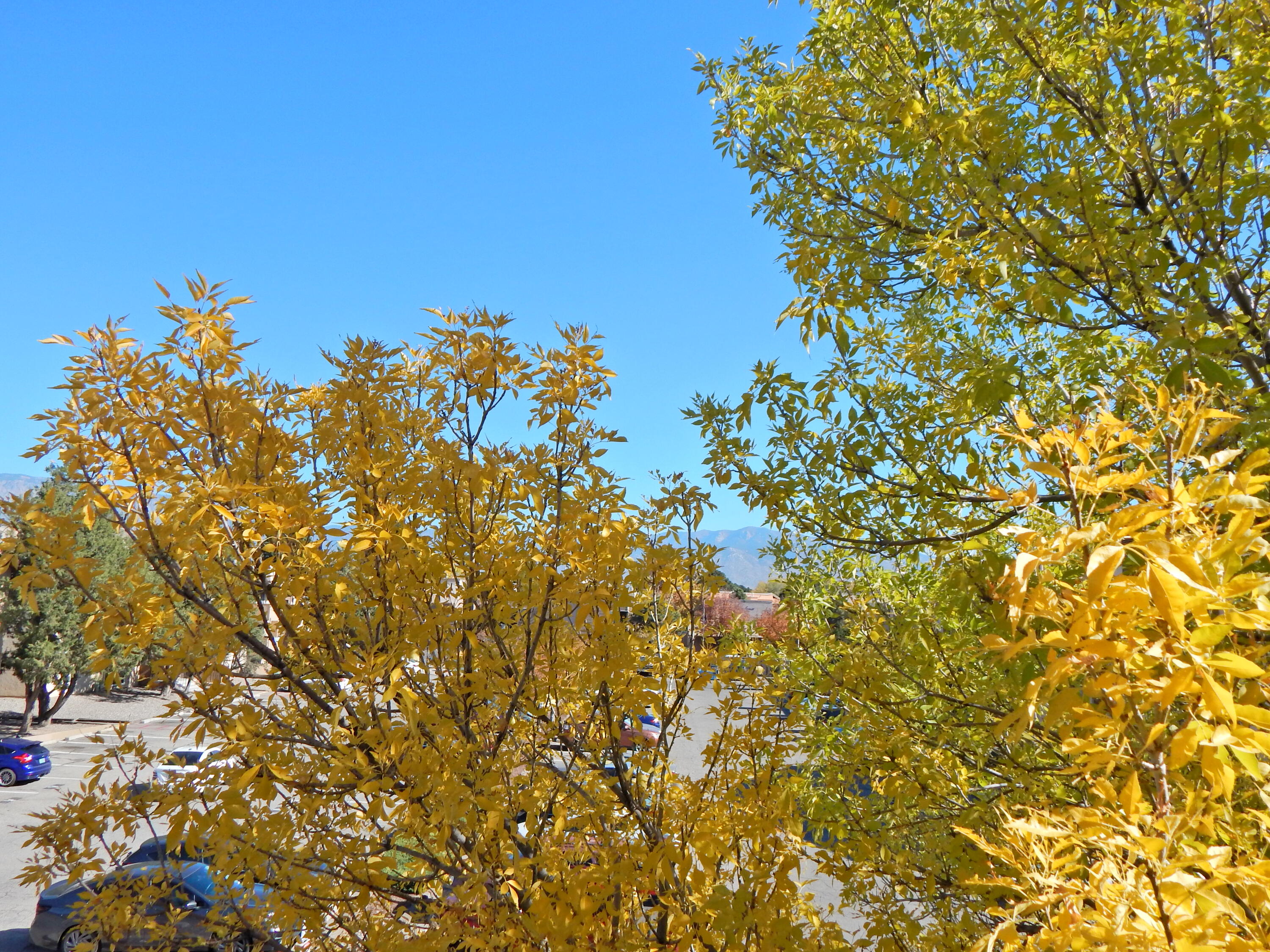 3857 Montgomery Boulevard NE APT 1234