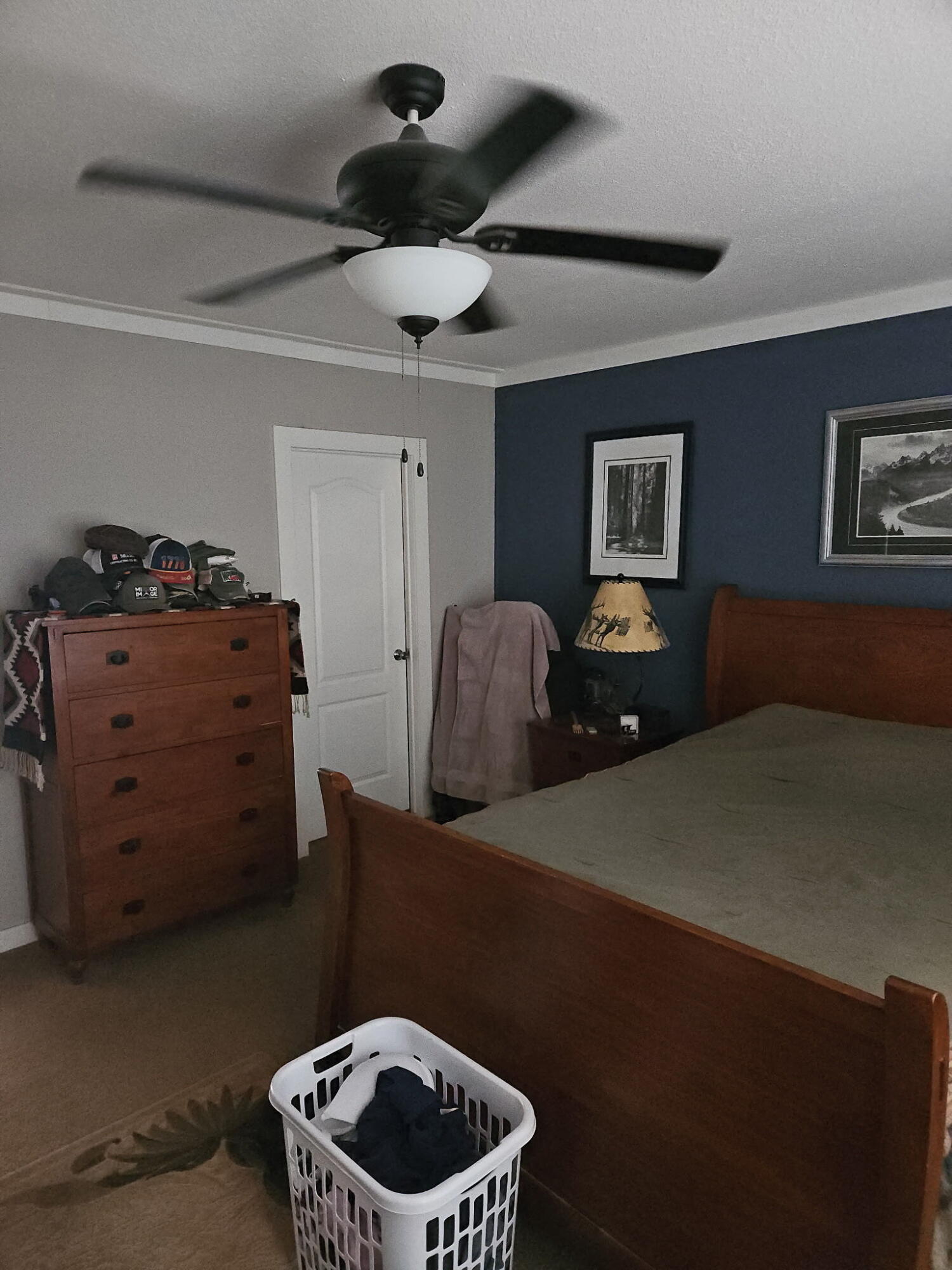 60 Celso Springs lane