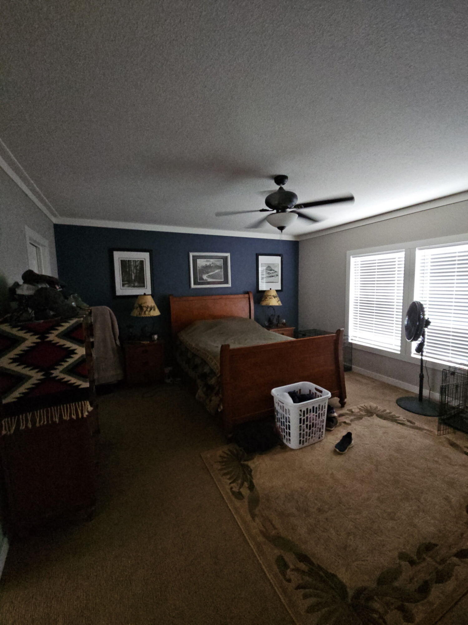 60 Celso Springs lane