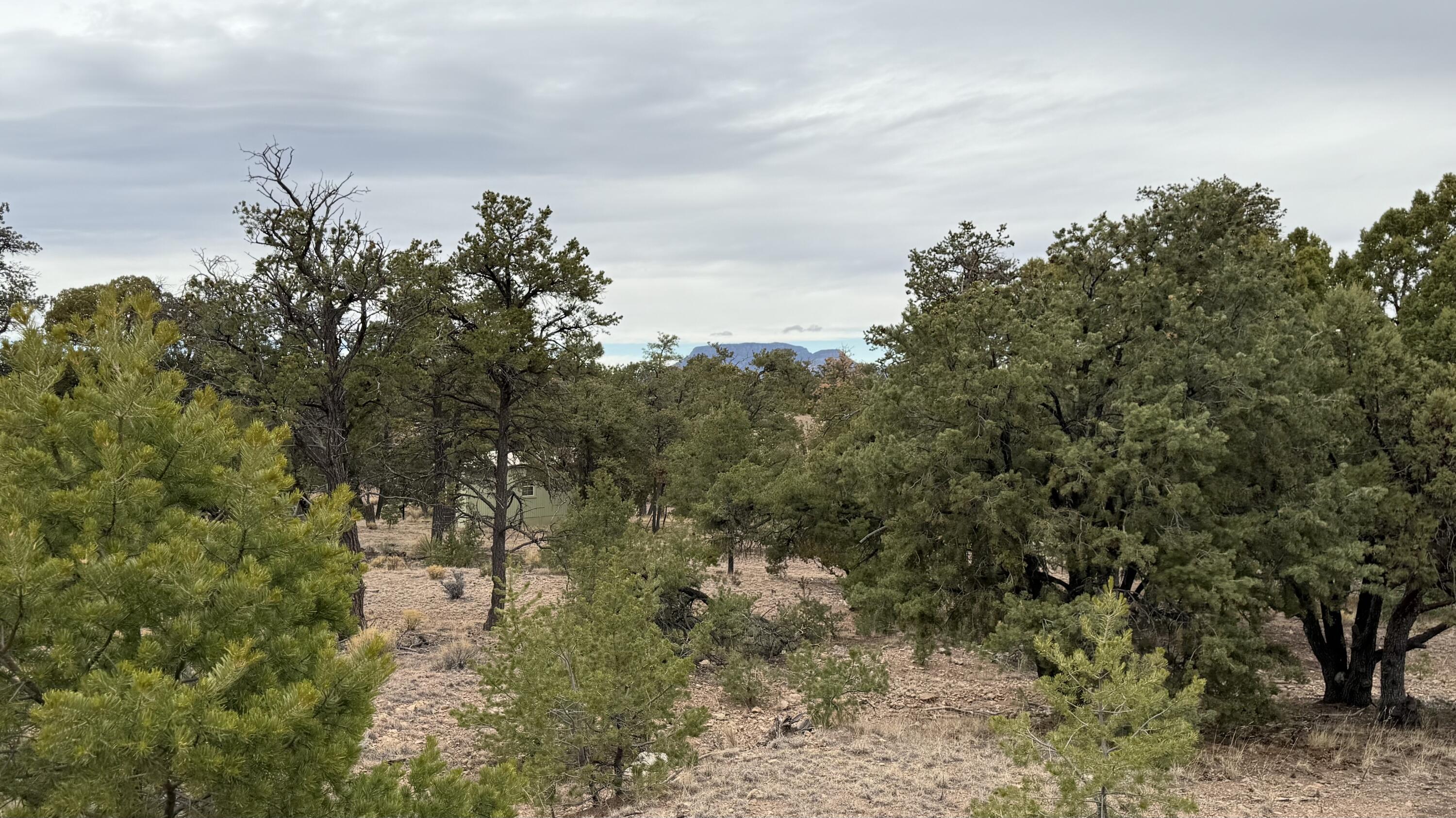 37 Wilderness Circle