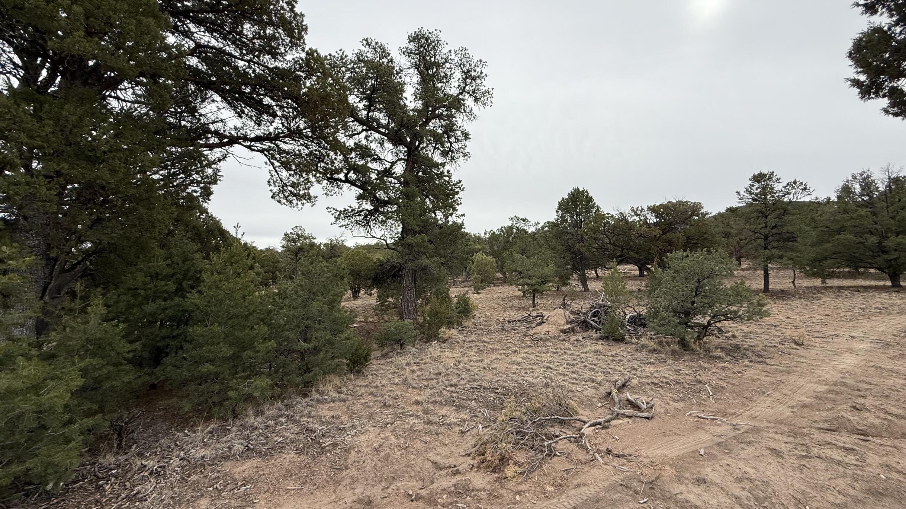 37 Wilderness Circle