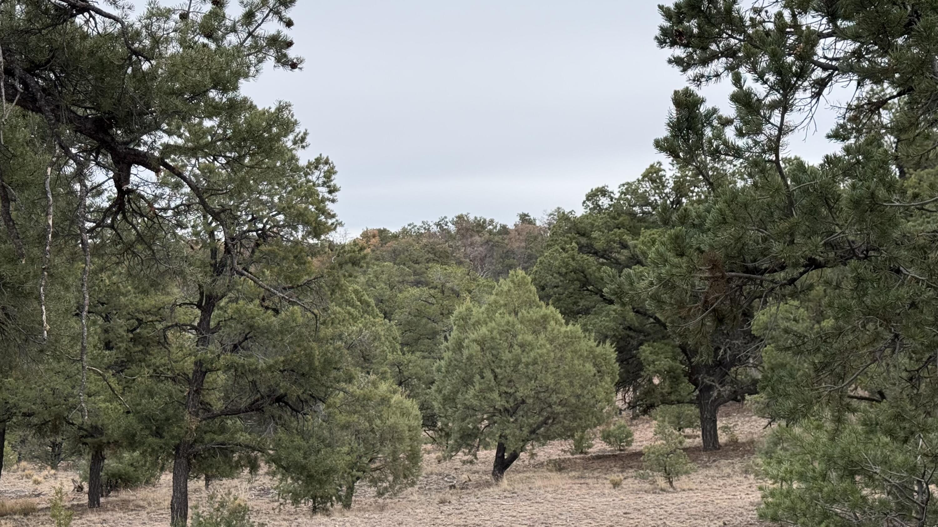 37 Wilderness Circle