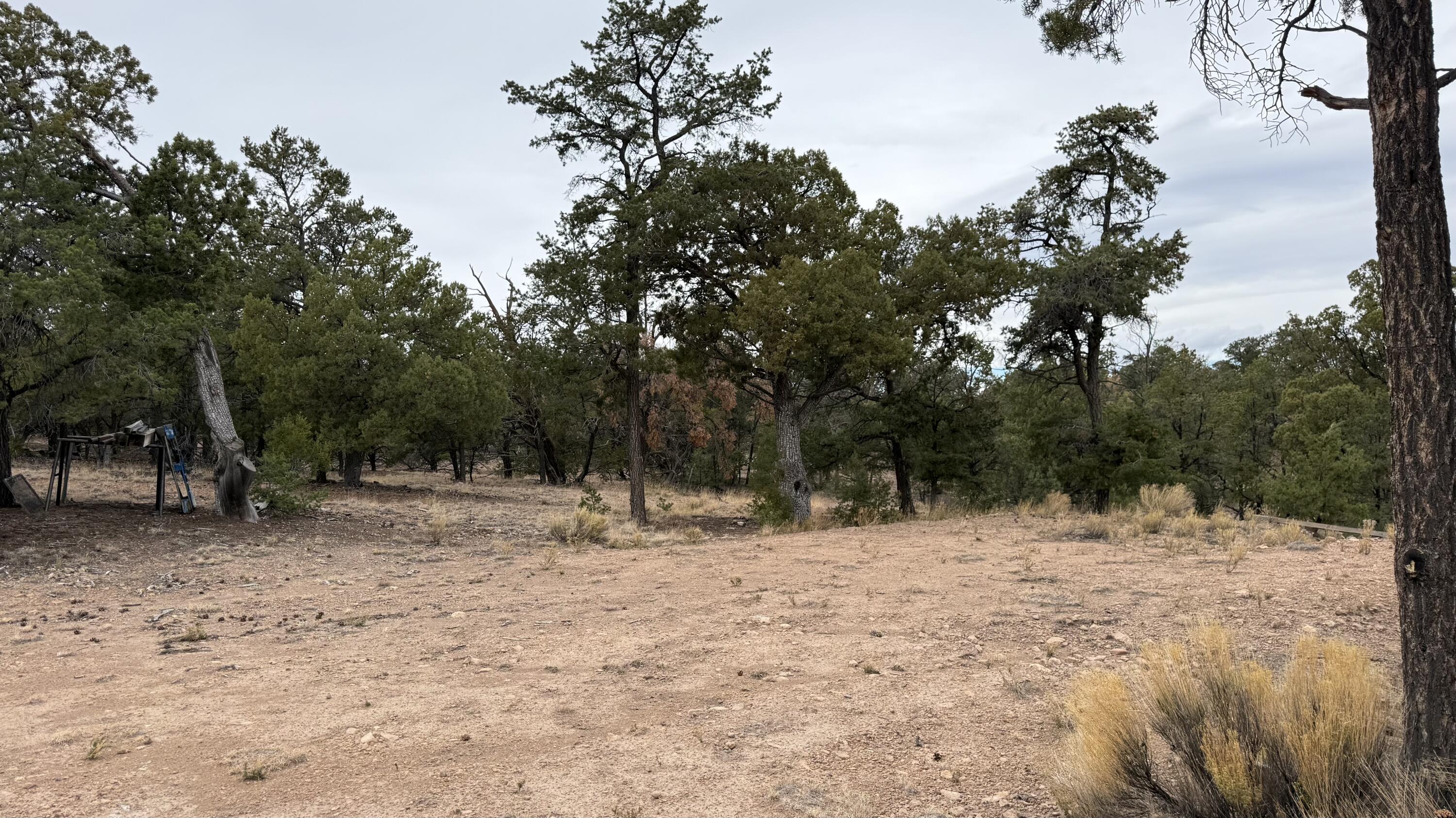 37 Wilderness Circle