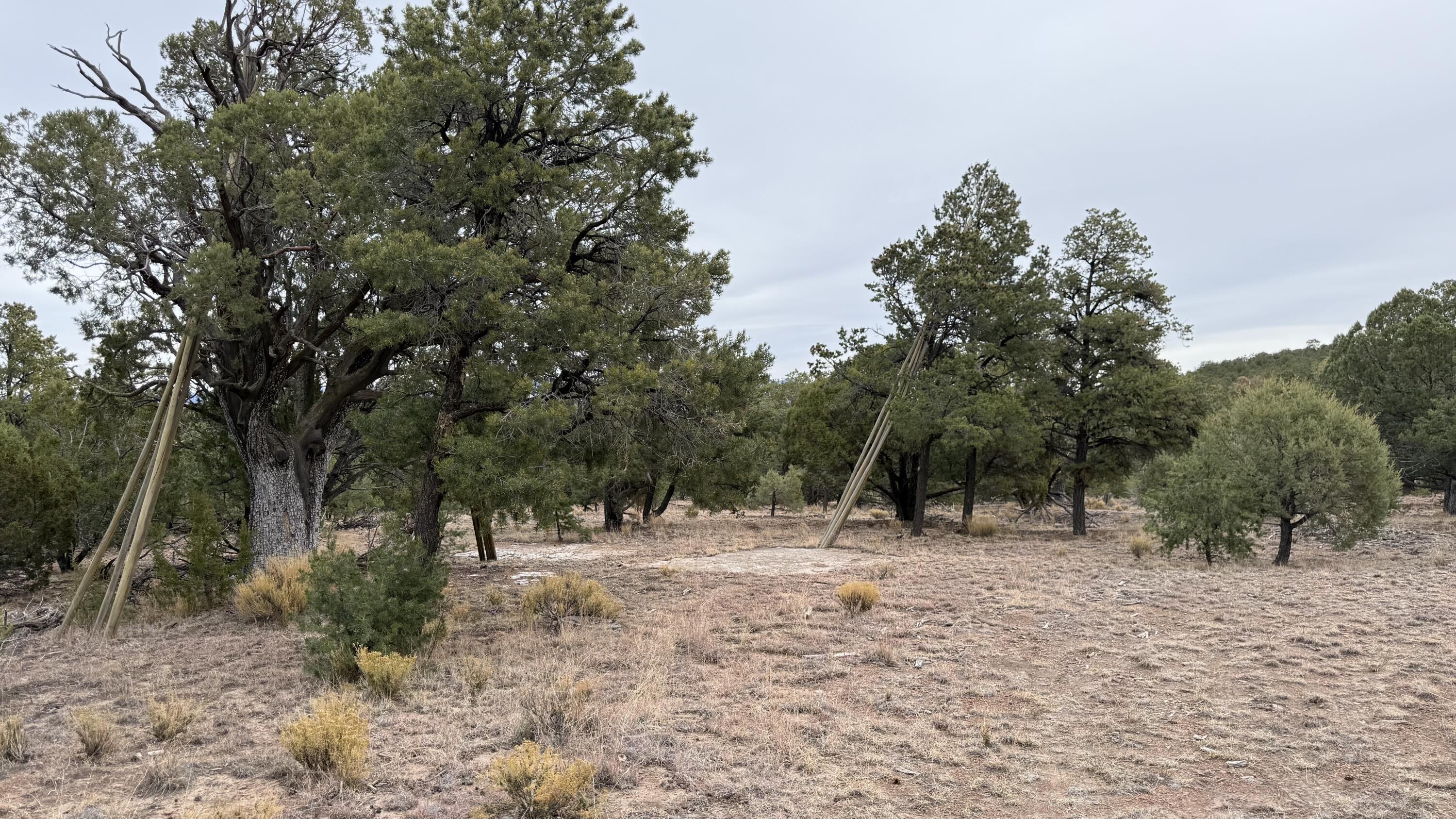 37 Wilderness Circle