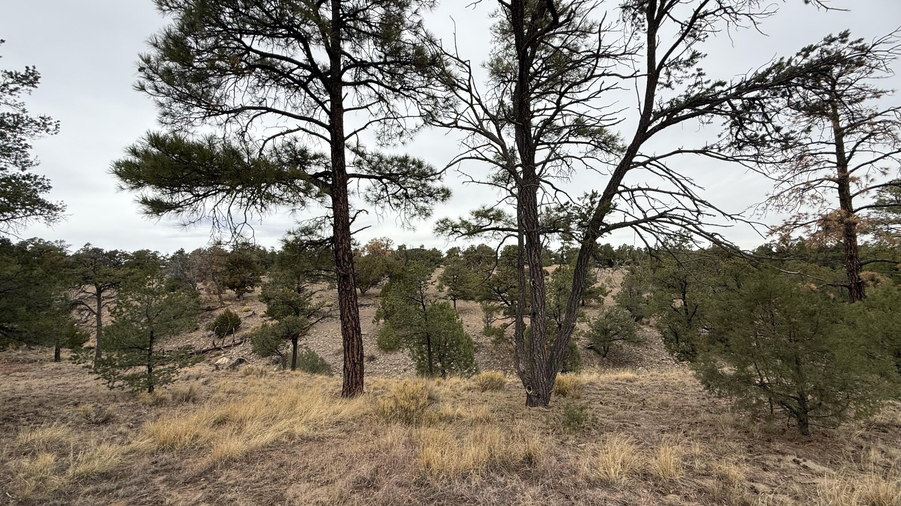 37 Wilderness Circle