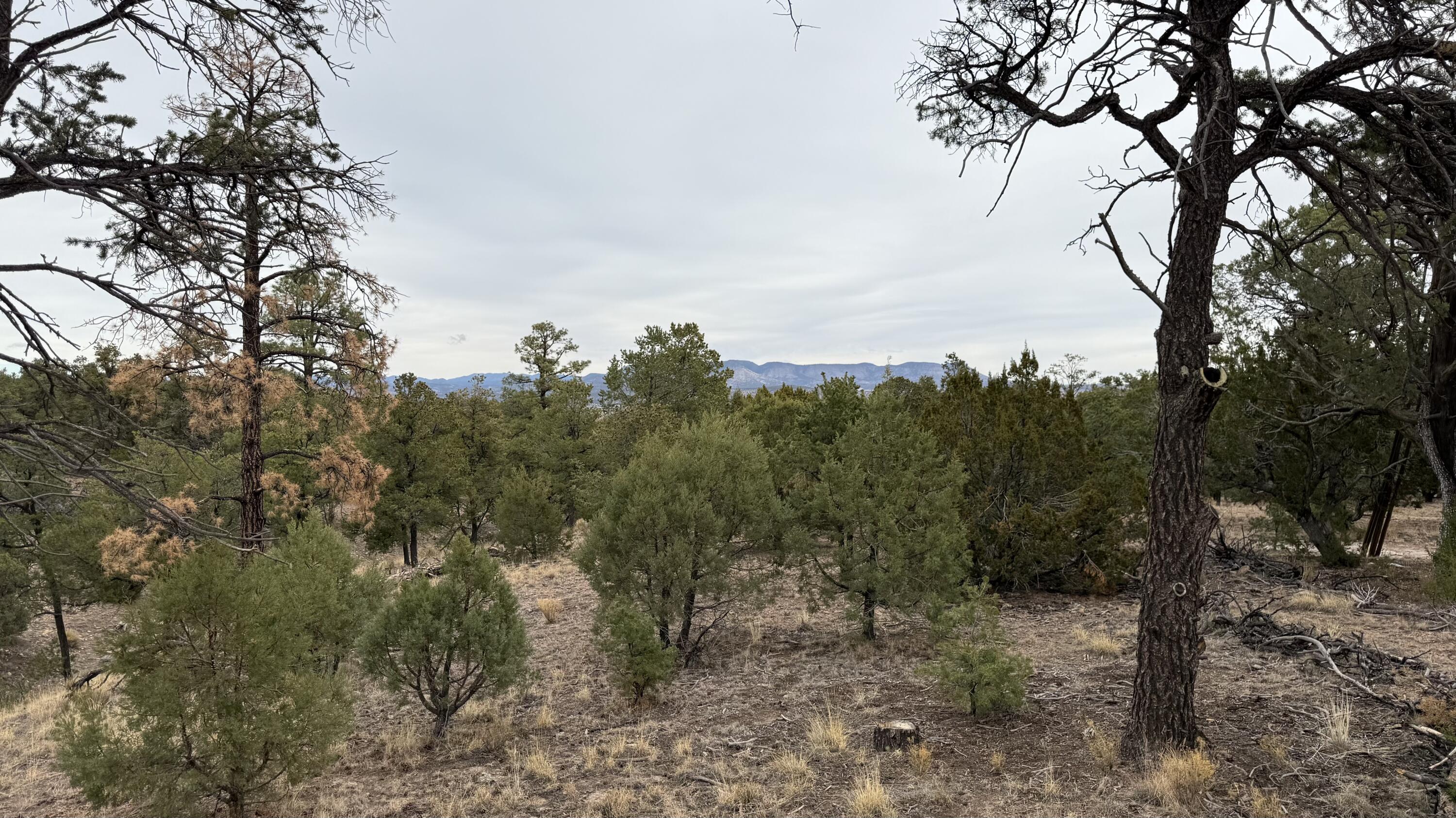 37 Wilderness Circle