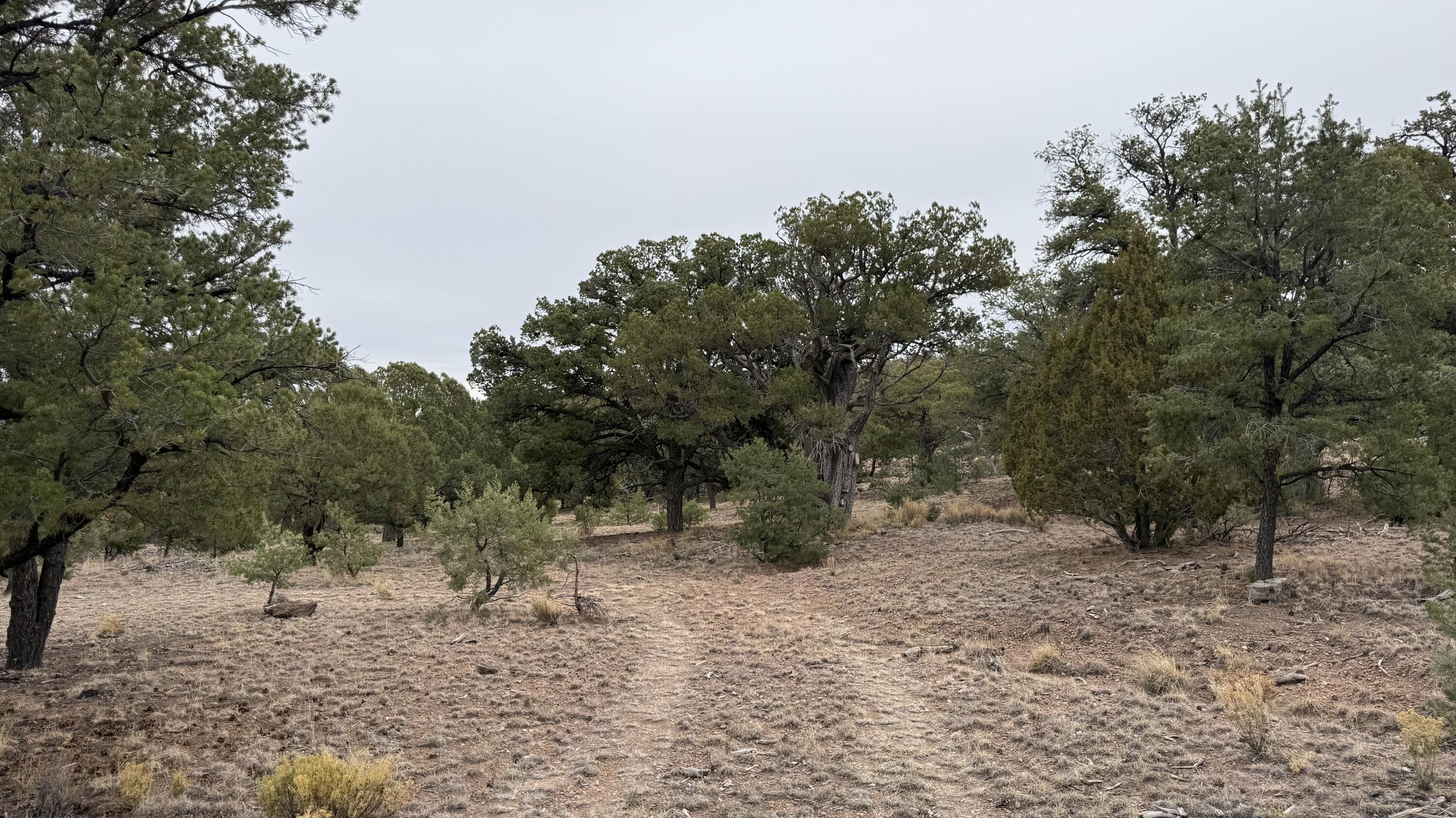 37 Wilderness Circle