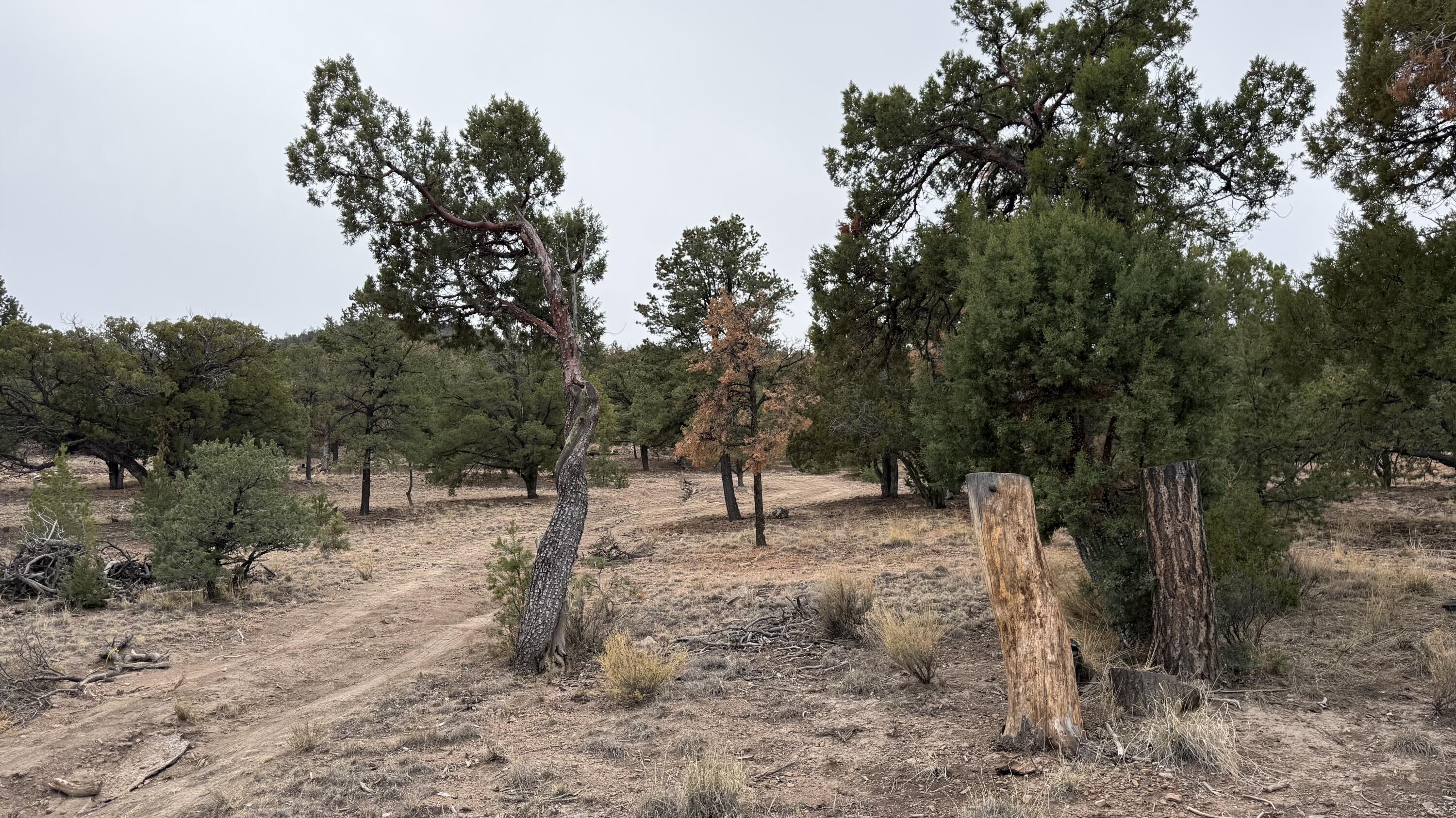 37 Wilderness Circle