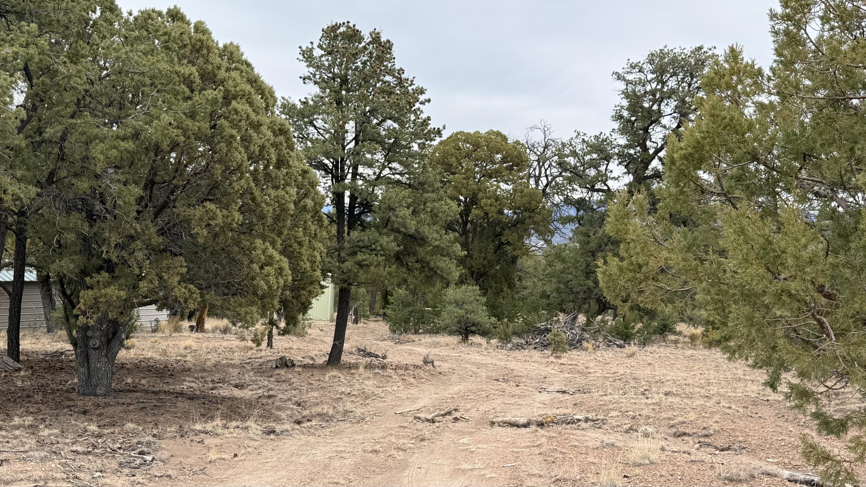 37 Wilderness Circle