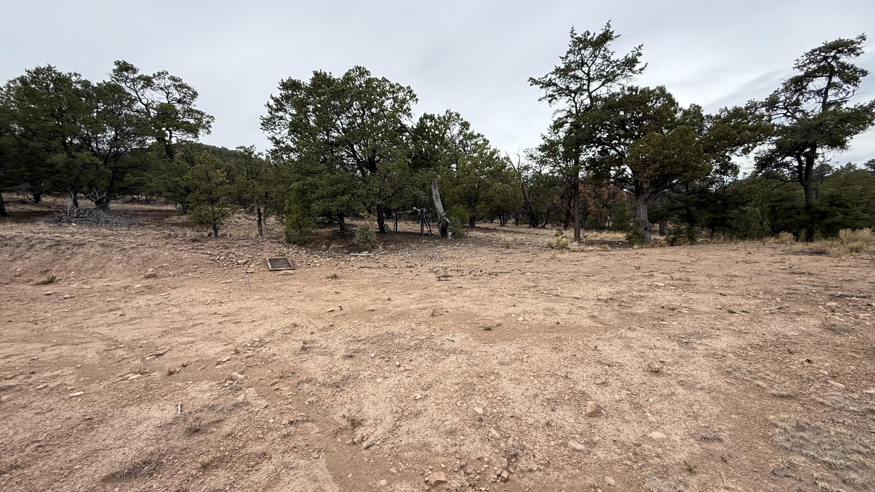 37 Wilderness Circle