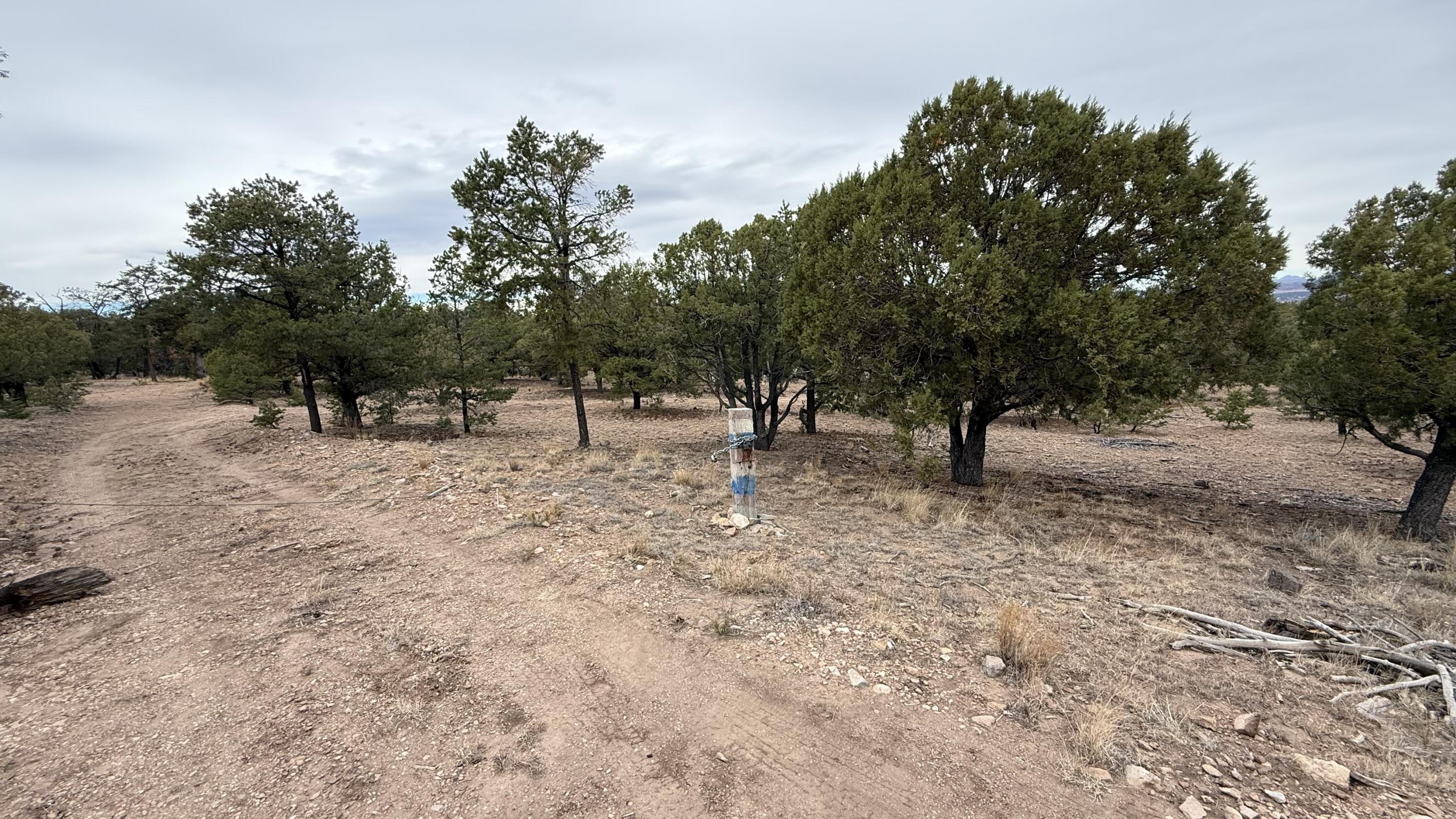 37 Wilderness Circle