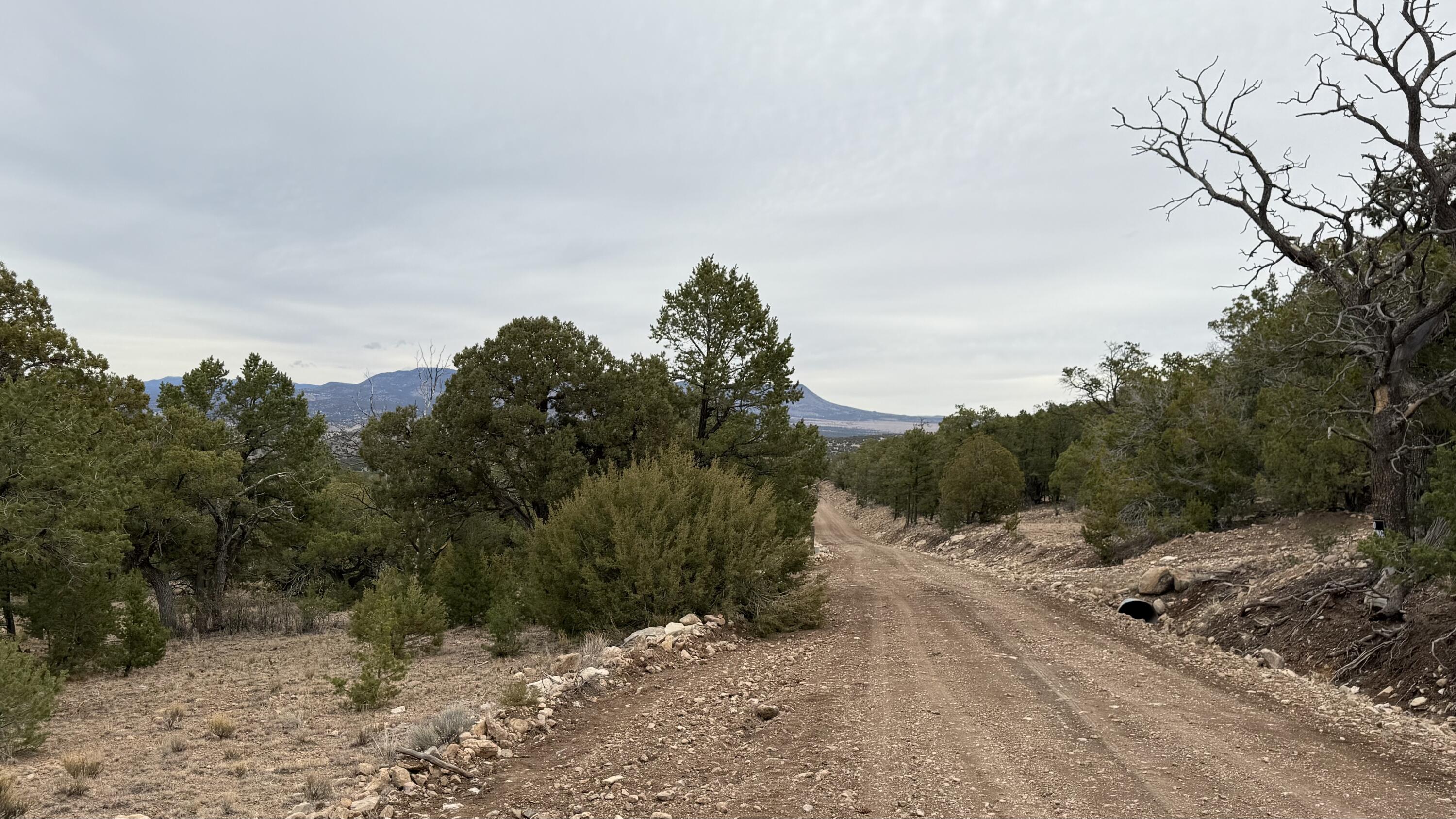 37 Wilderness Circle