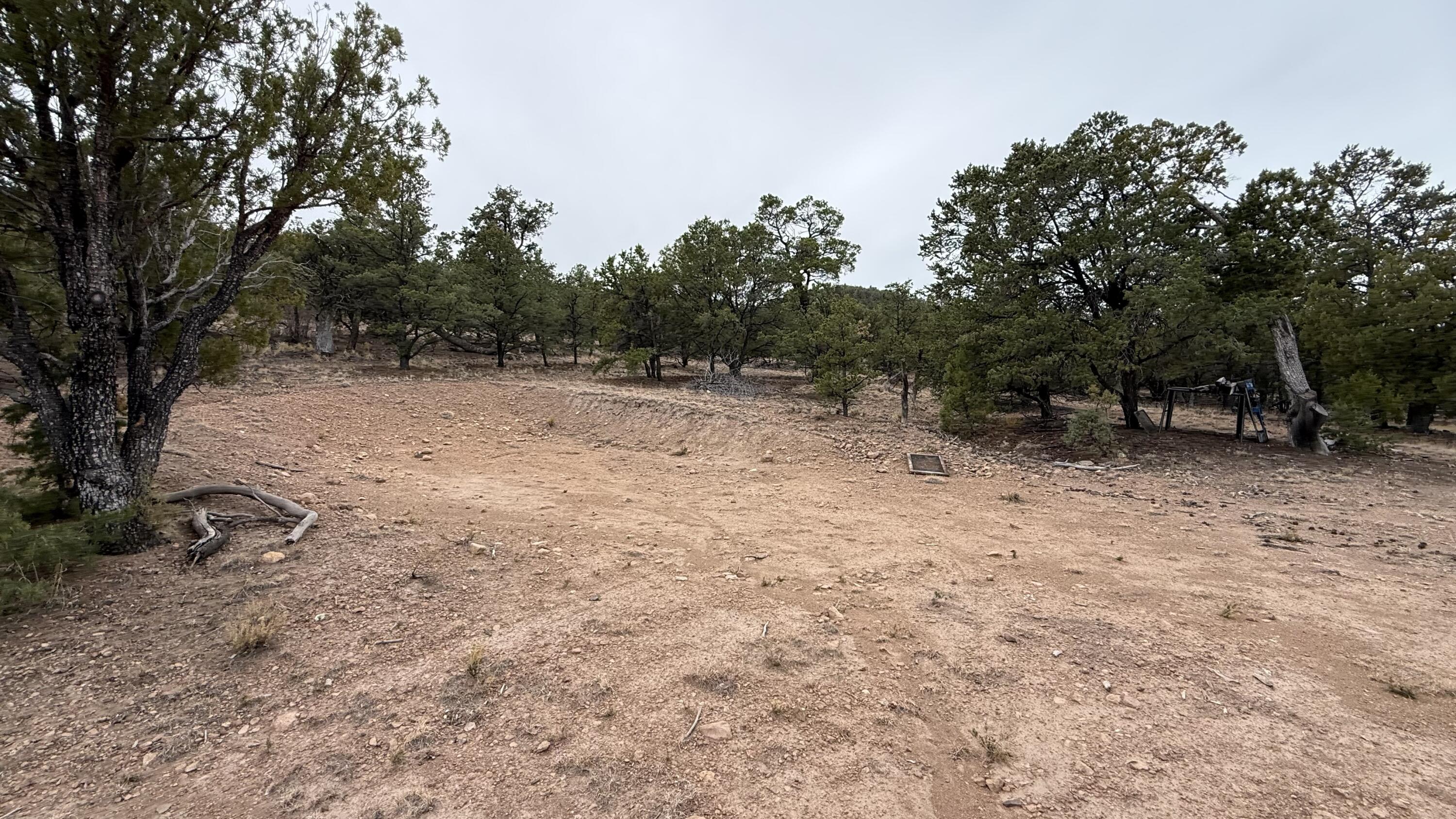 37 Wilderness Circle